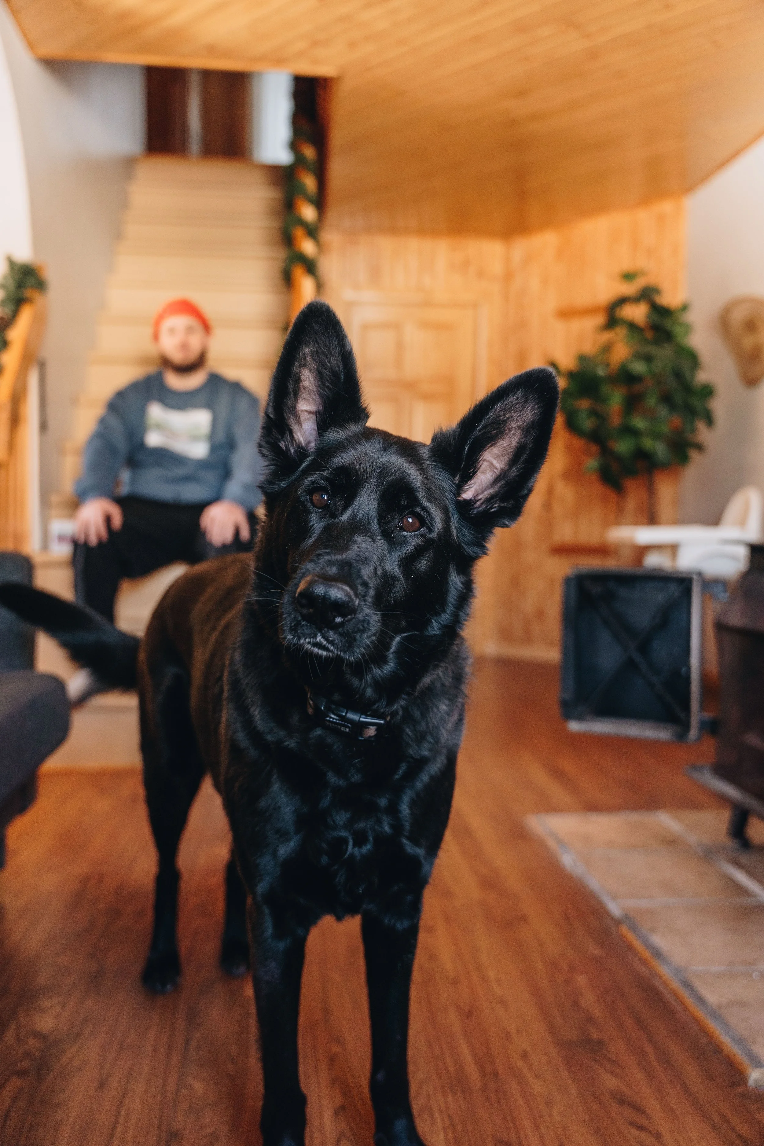 le botanique_onvasepromener 146.jpg