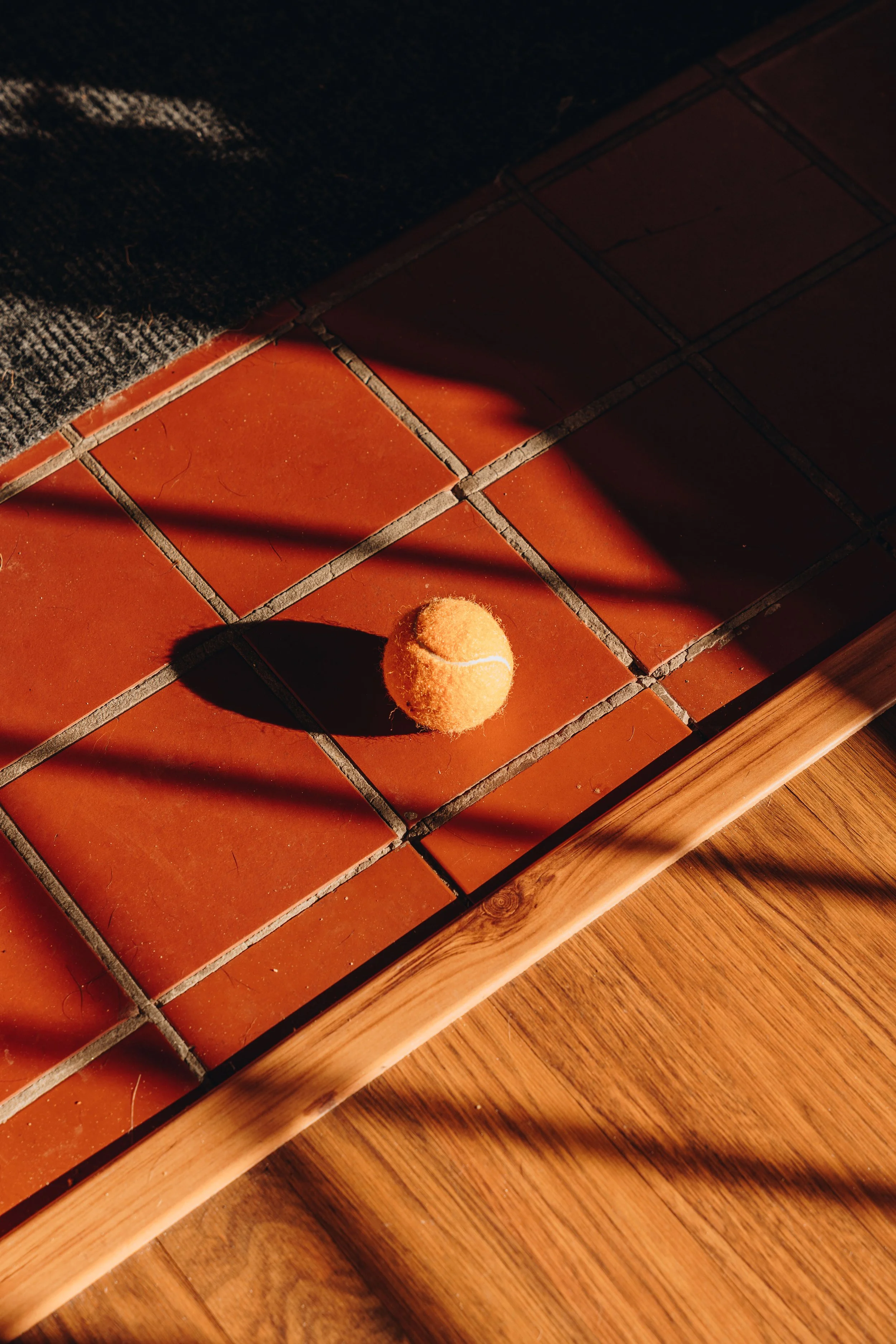 le botanique_onvasepromener 128.jpg