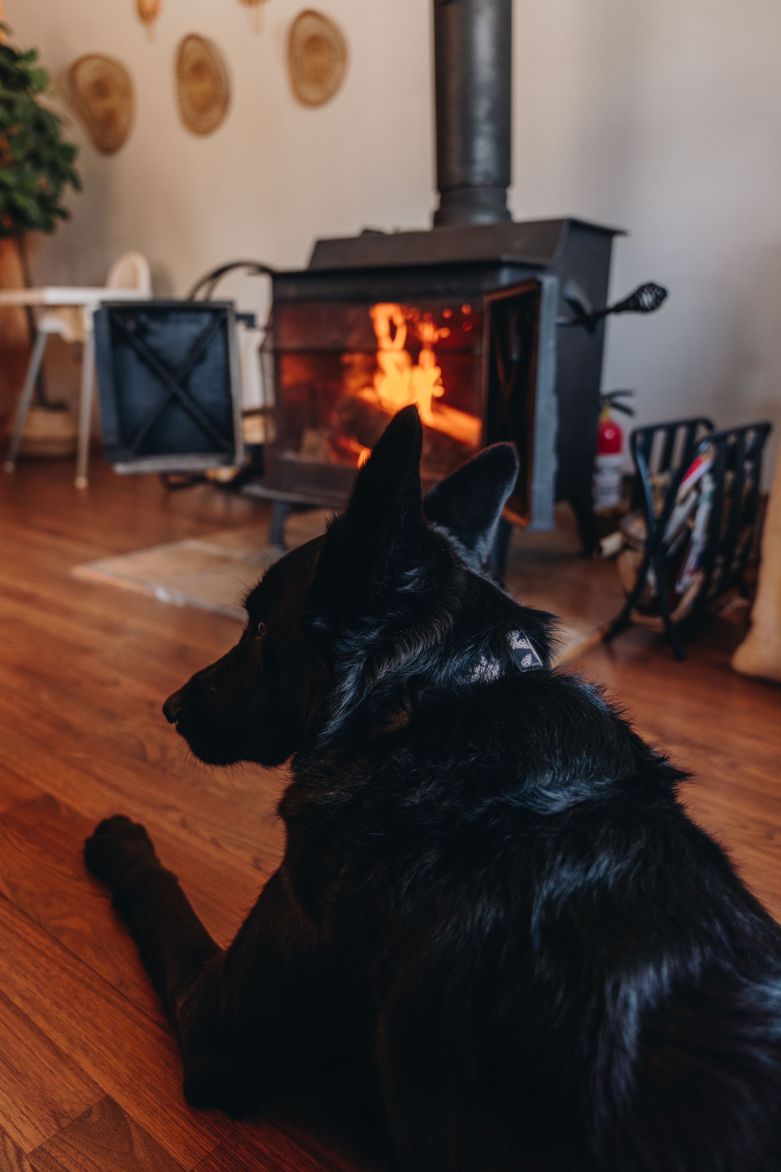 le botanique_onvasepromener 133.jpg