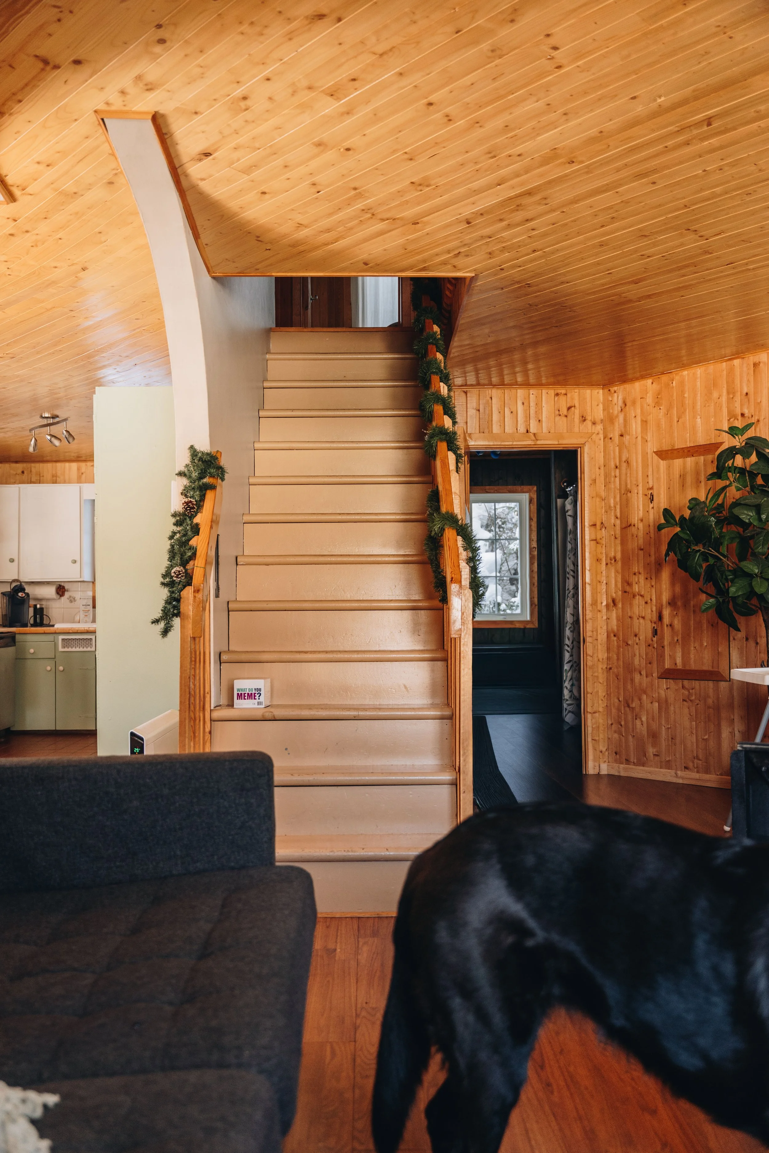 le botanique_onvasepromener 137.jpg