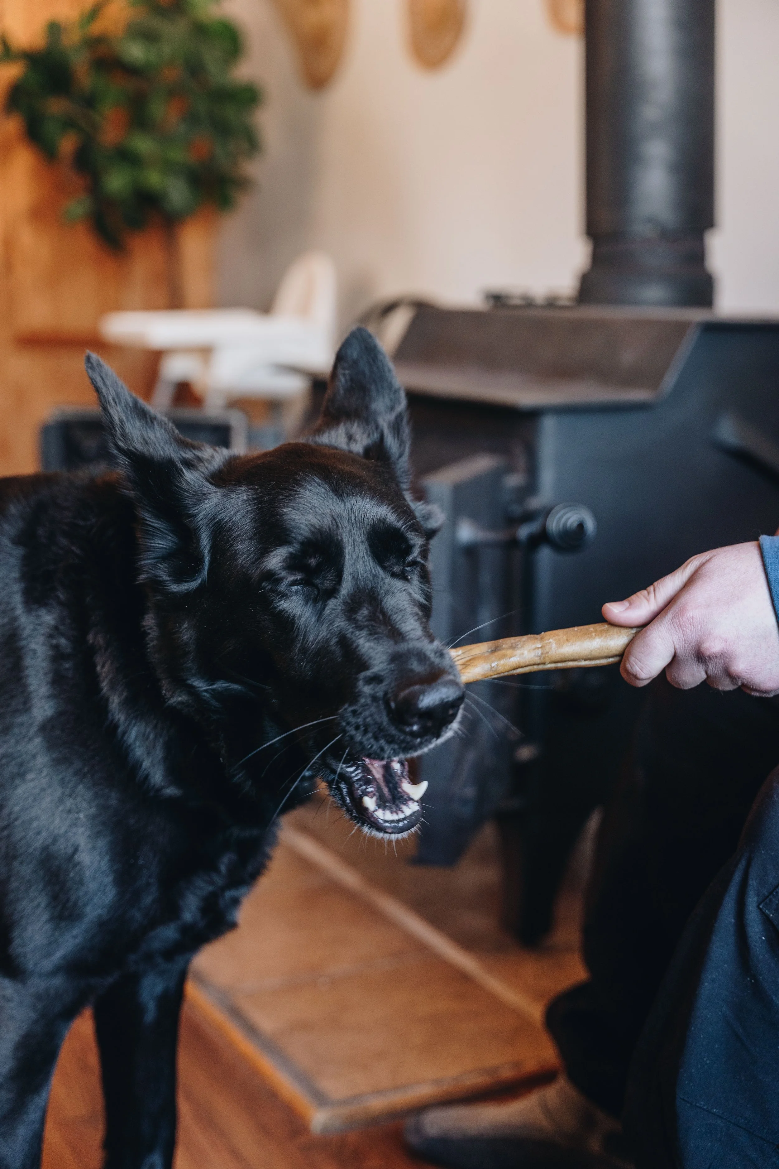le botanique_onvasepromener 136.jpg