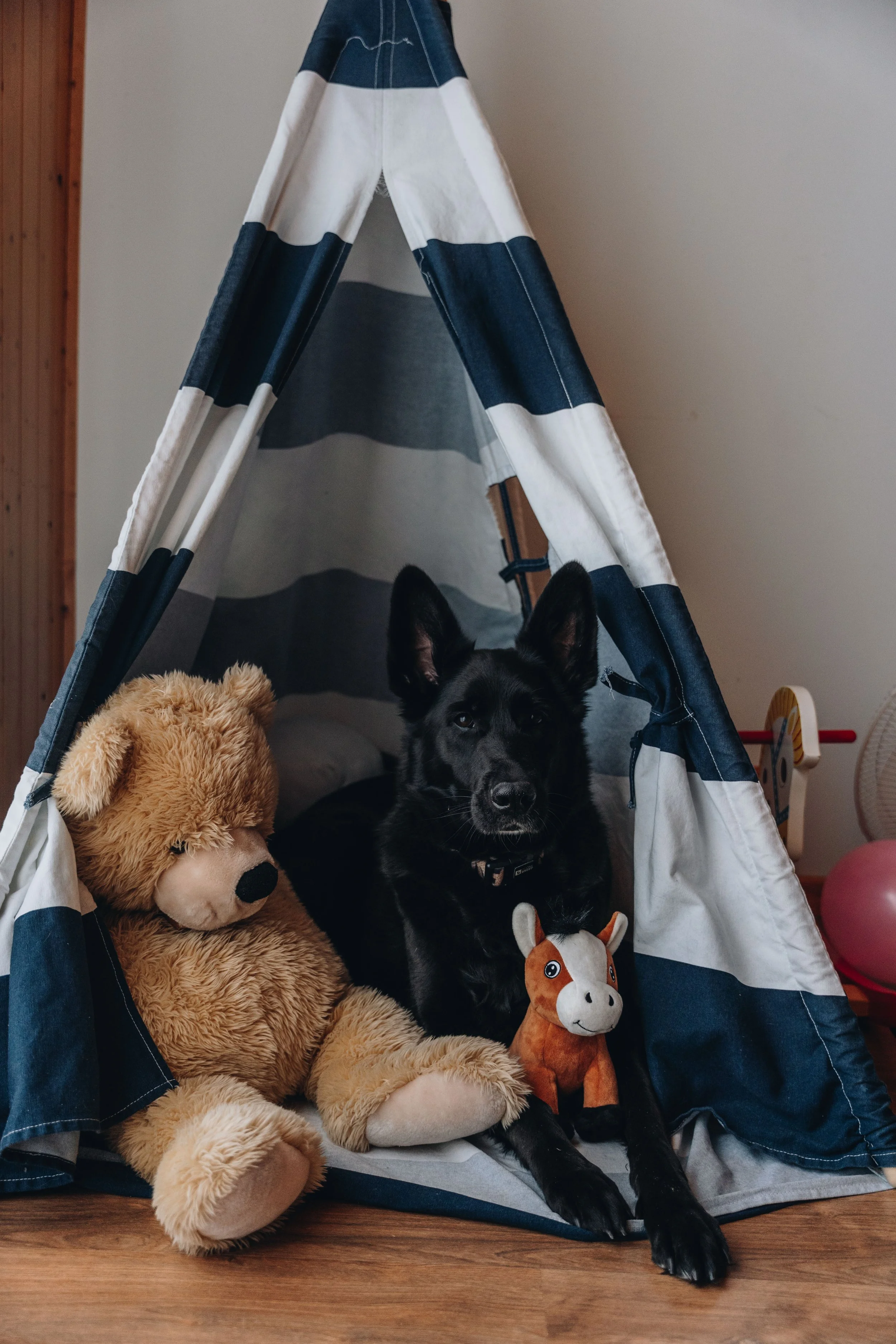 le botanique_onvasepromener 66.jpg