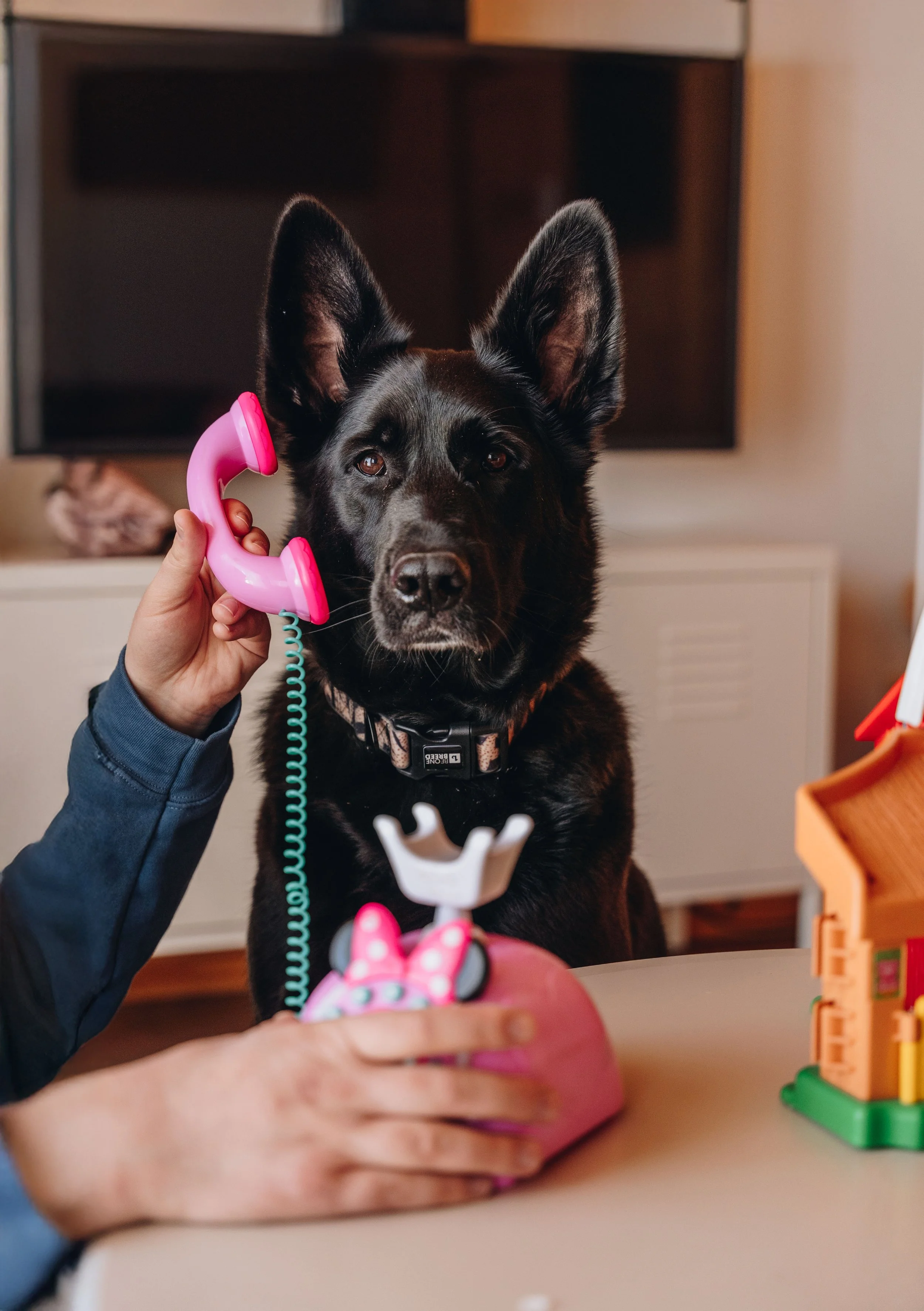 le botanique_onvasepromener 177.jpg
