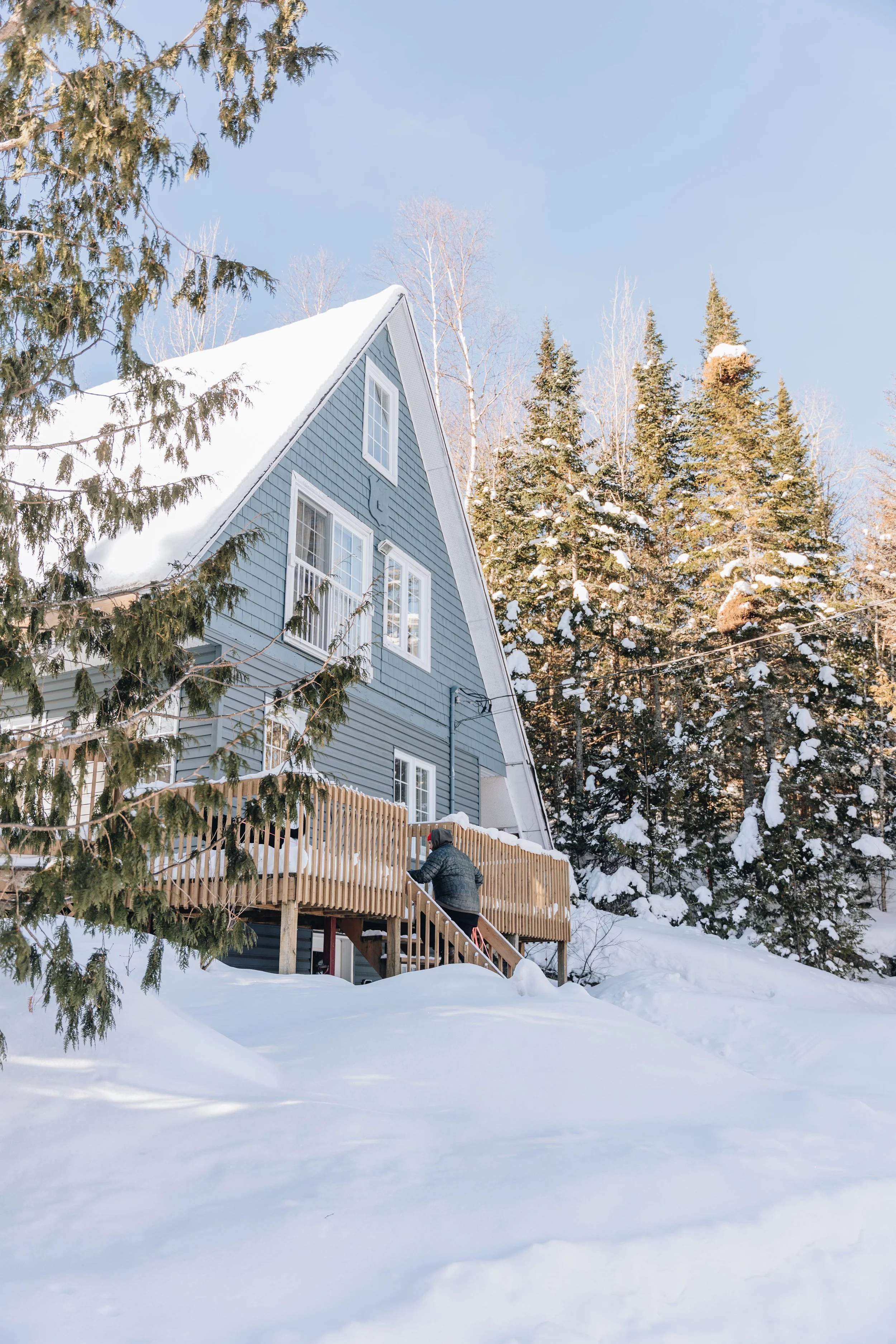le botanique_onvasepromener 80.jpg