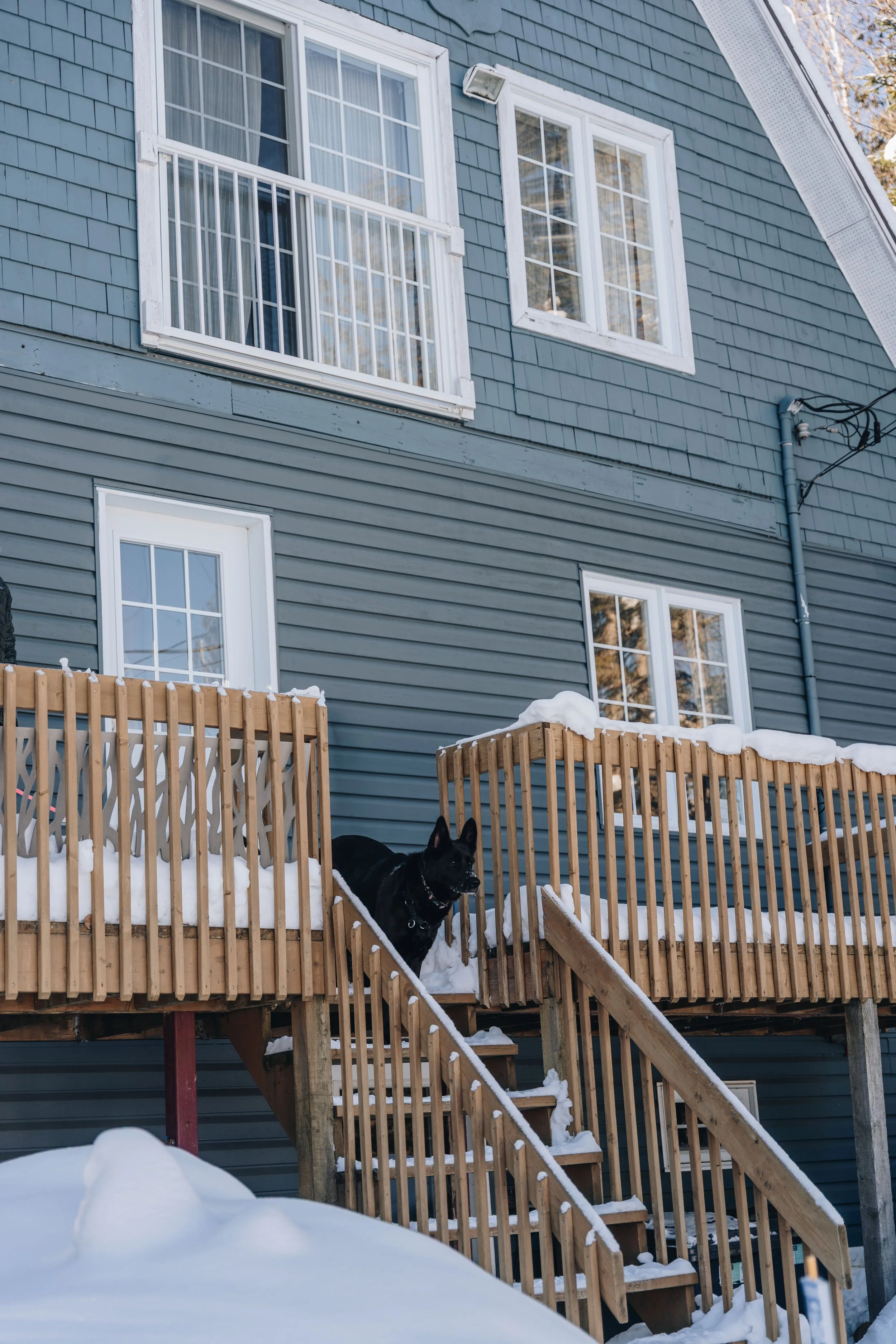 le botanique_onvasepromener 86.jpg