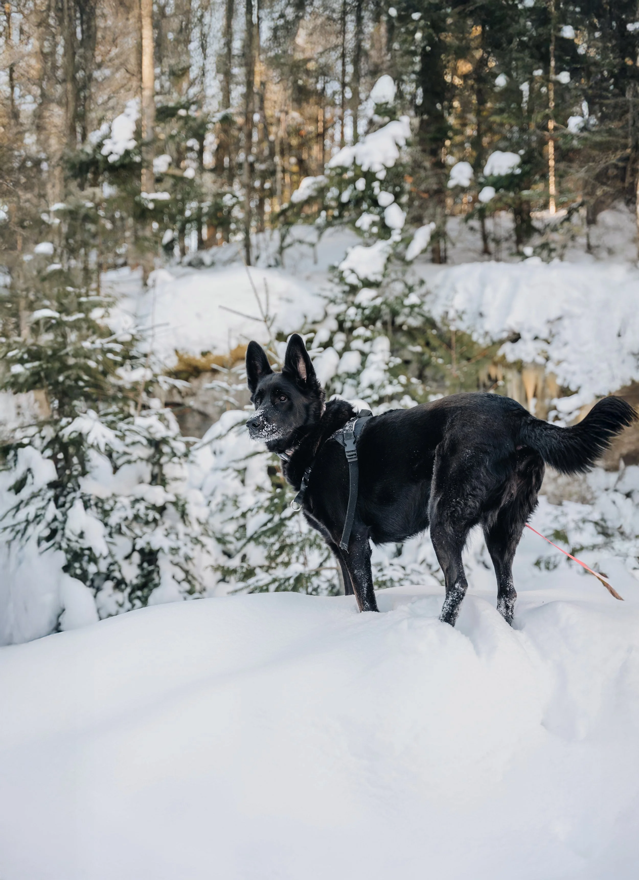le botanique_onvasepromener 77.jpg