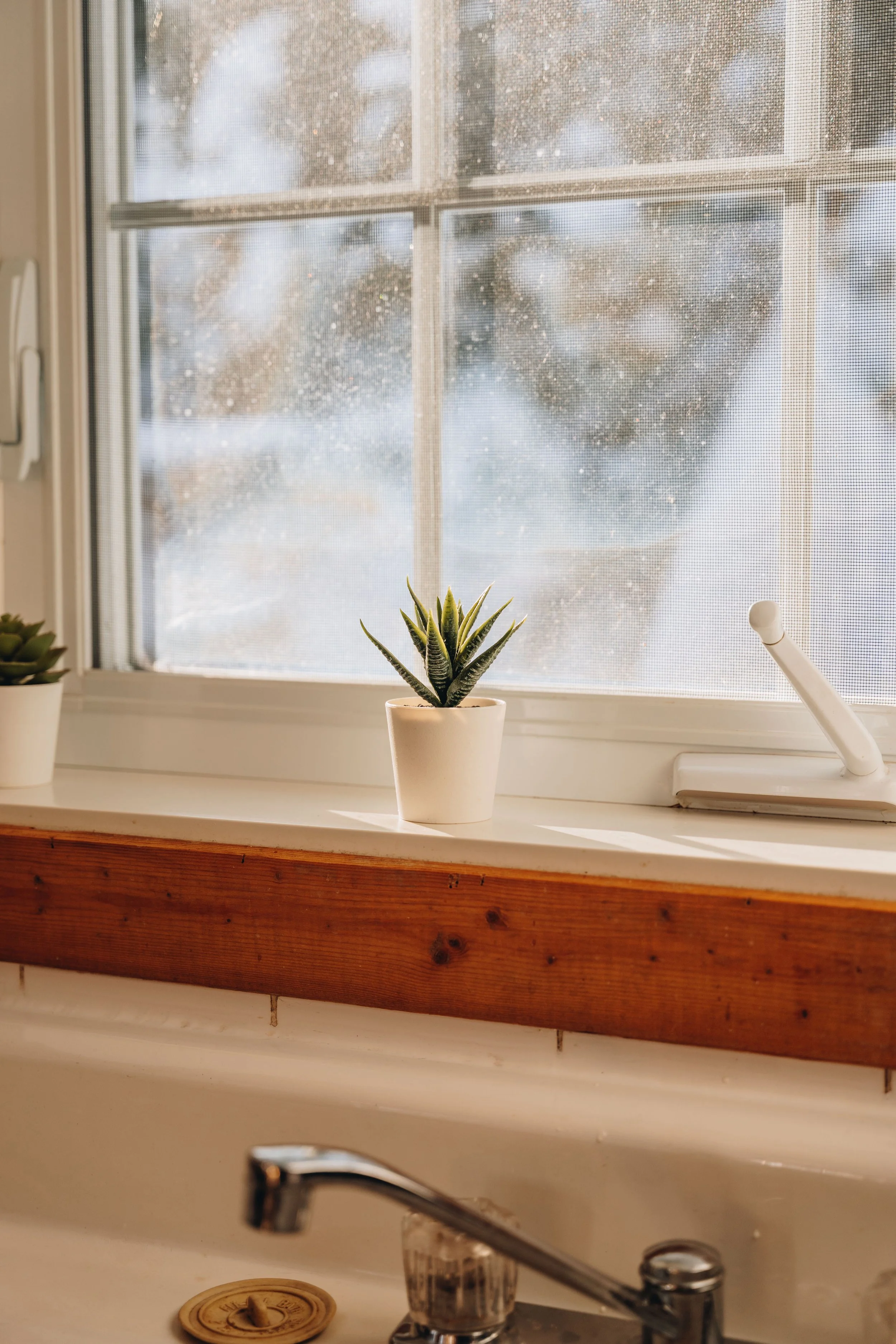 le botanique_onvasepromener 112.jpg