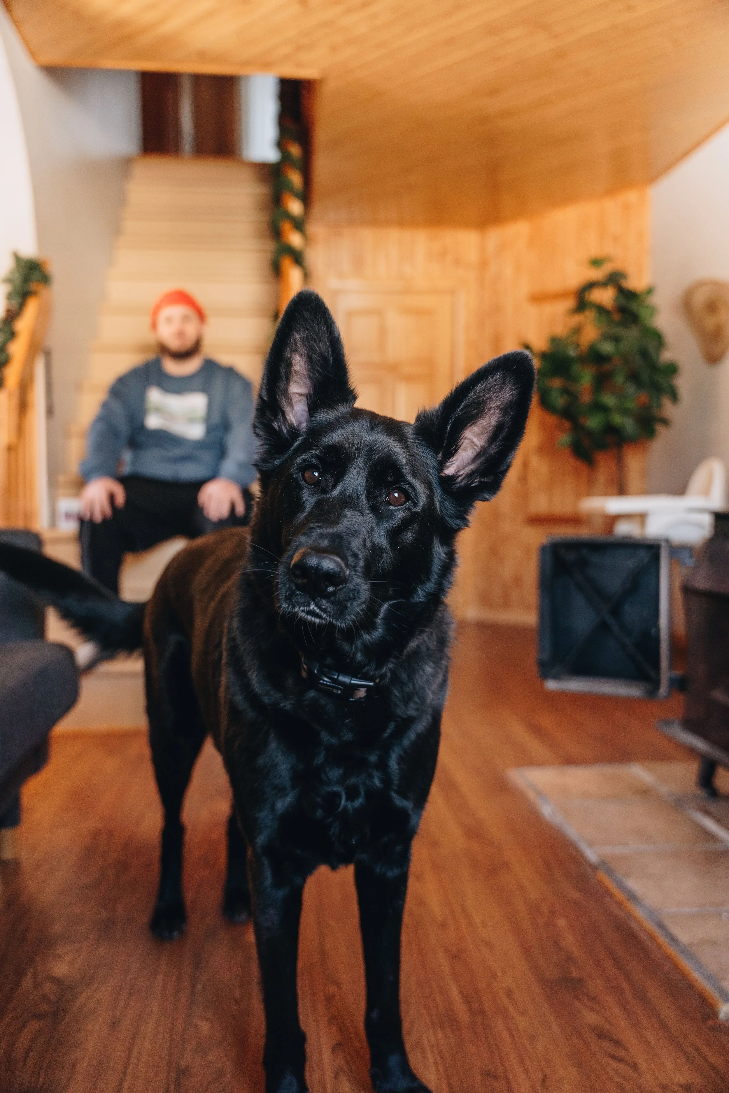 le botanique_onvasepromener 145.jpg