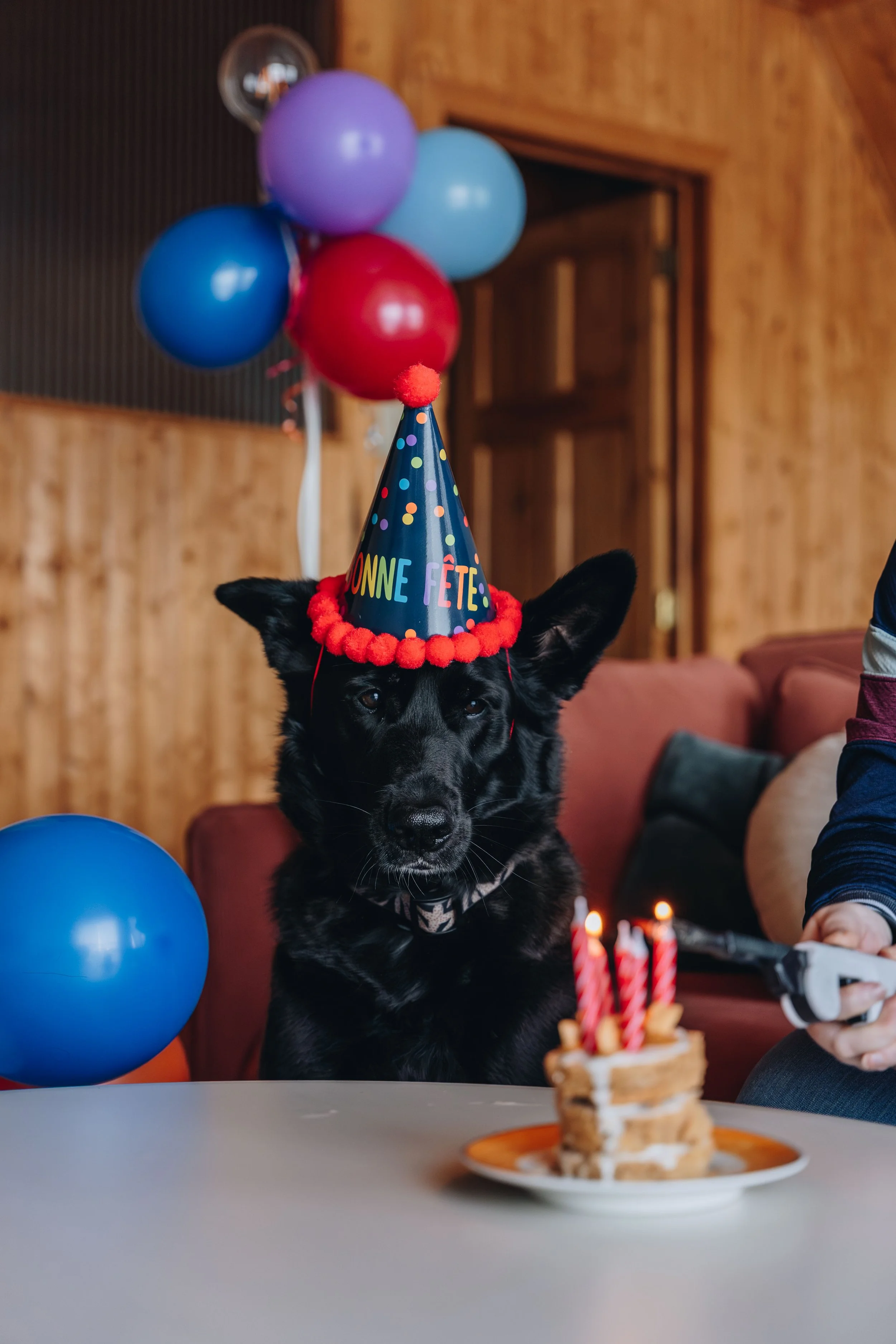 le botanique_onvasepromener 40.jpg