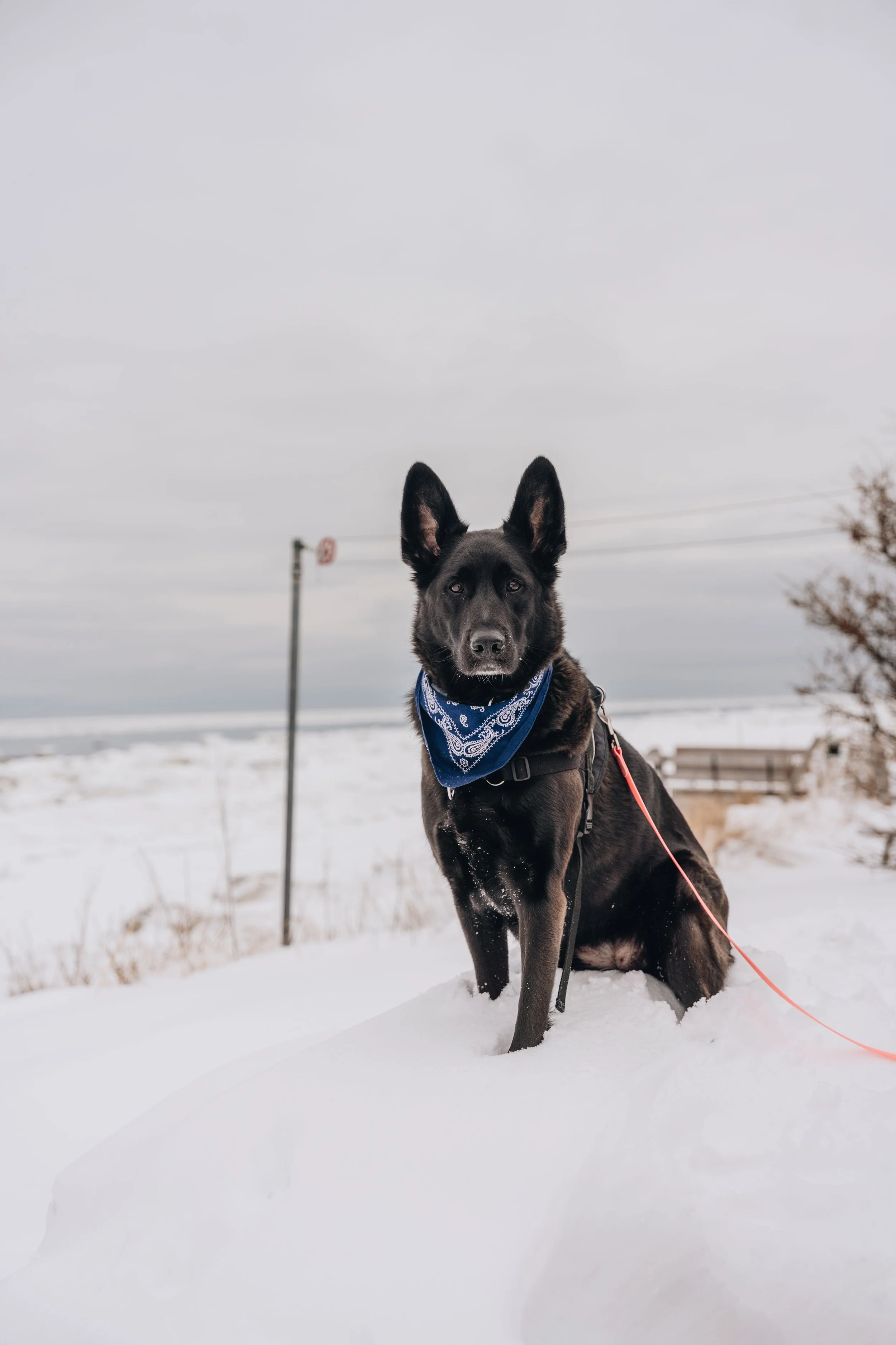 Maison bleue_onvasepromener 128.jpg