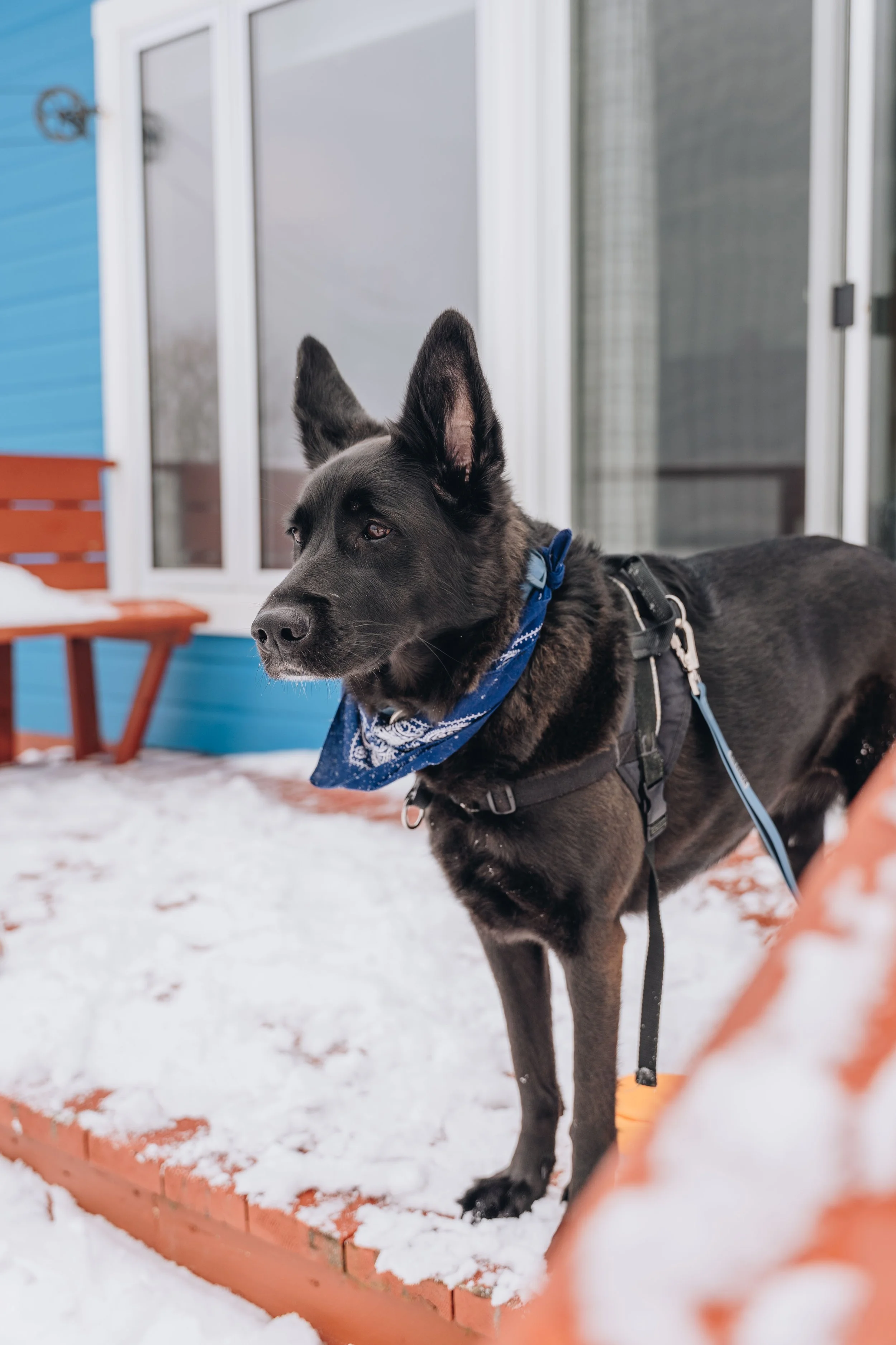 Maison bleue_onvasepromener 52.jpg