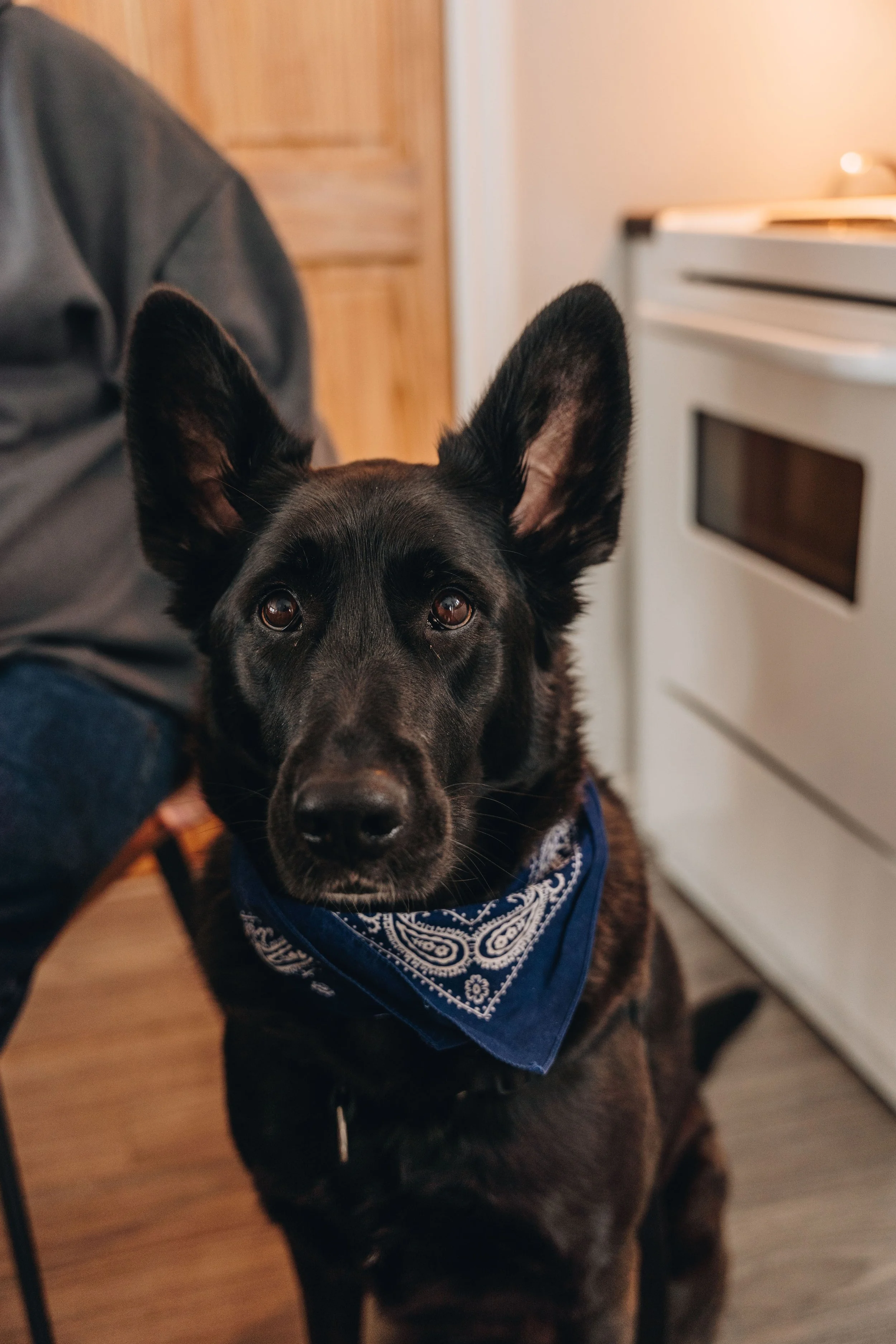 Maison bleue_onvasepromener 83.jpg