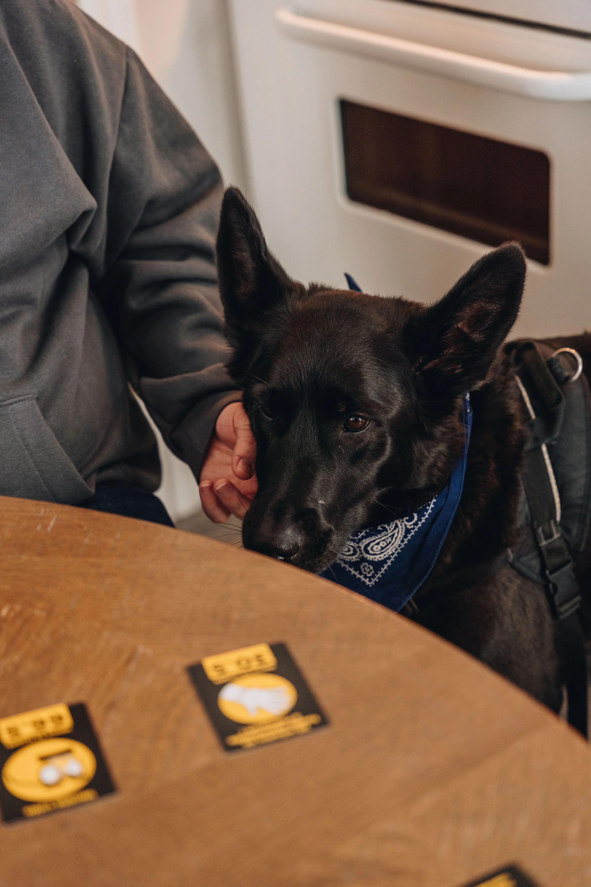 Maison bleue_onvasepromener 79.jpg