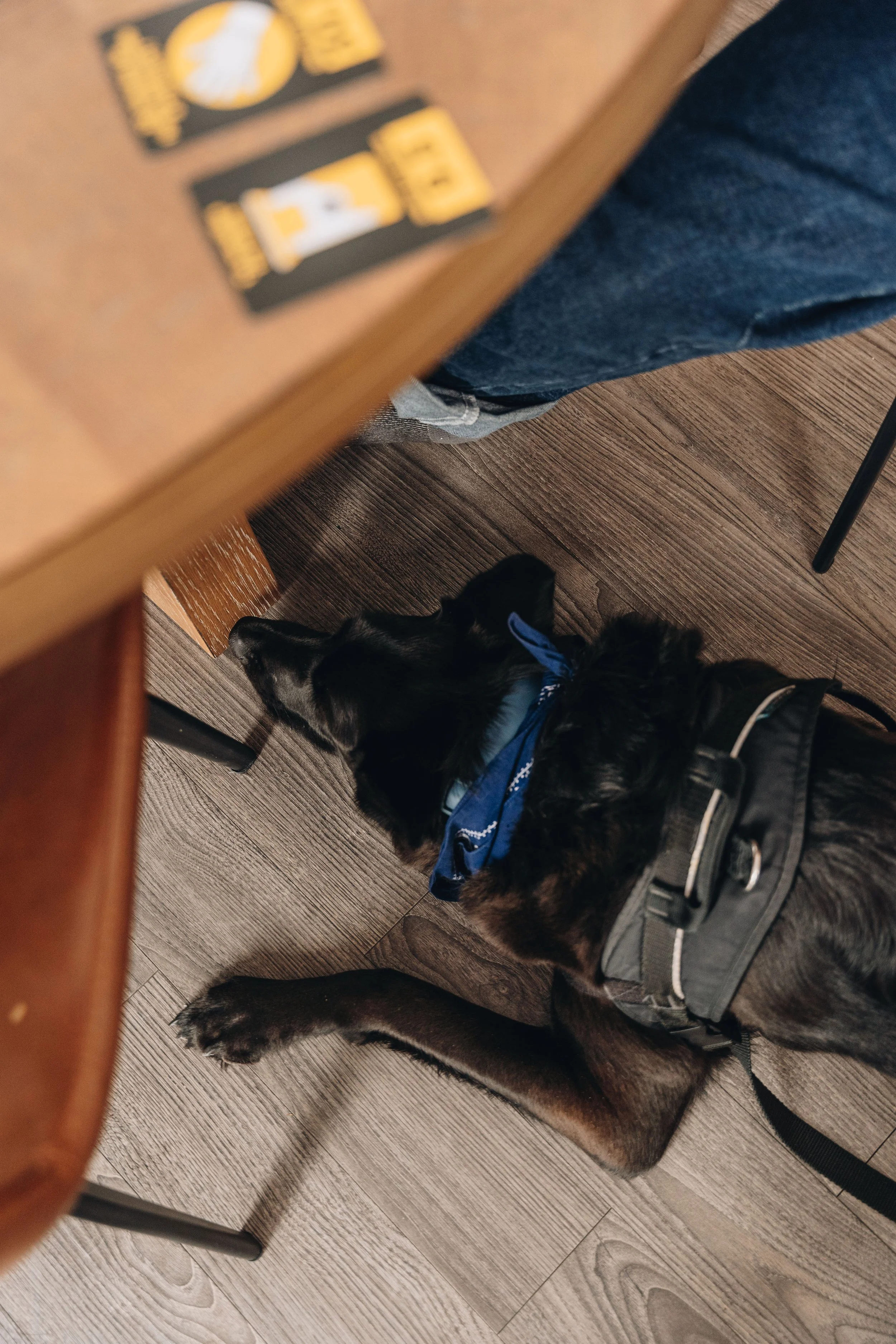 Maison bleue_onvasepromener 96.jpg