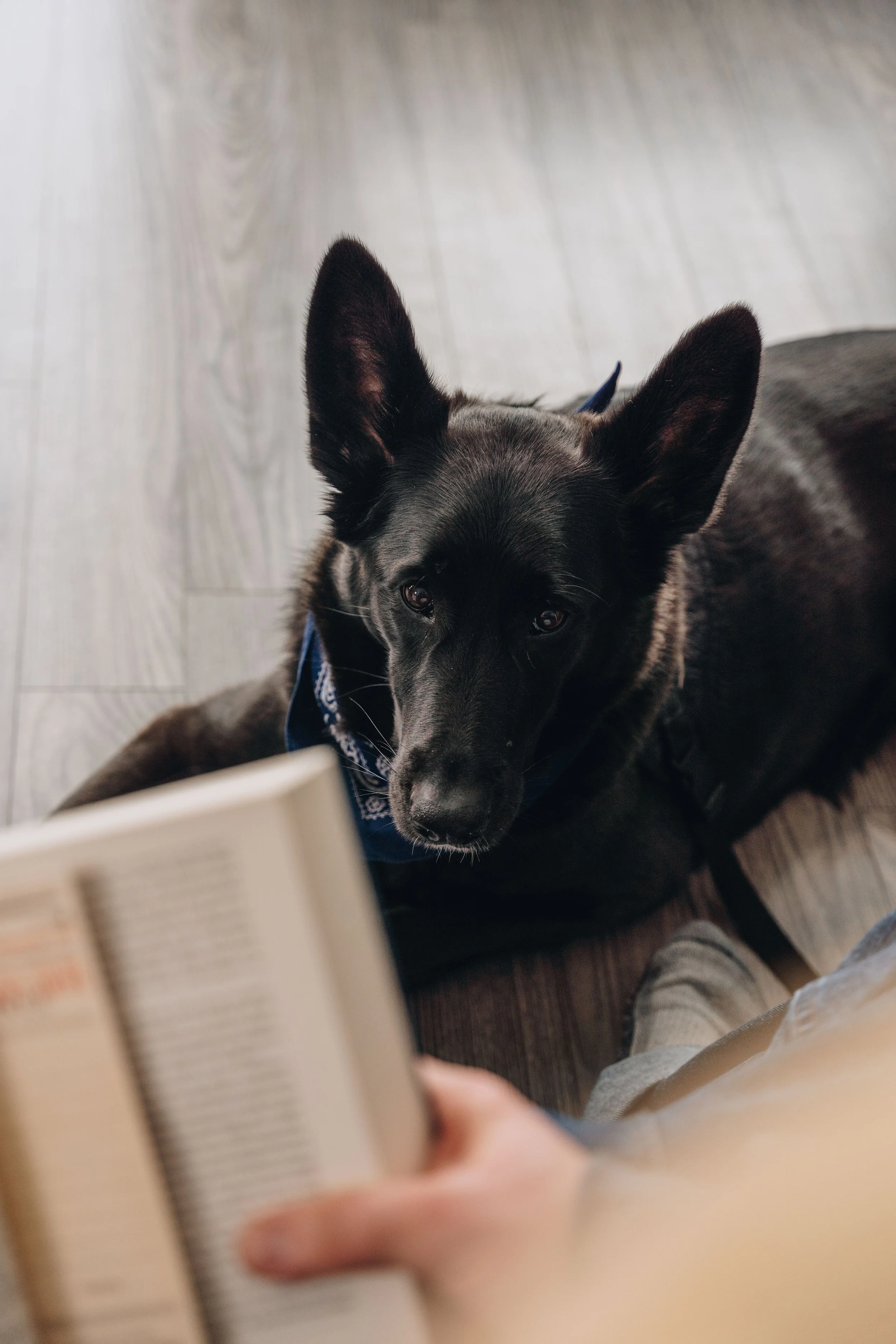 Maison bleue_onvasepromener 110.jpg