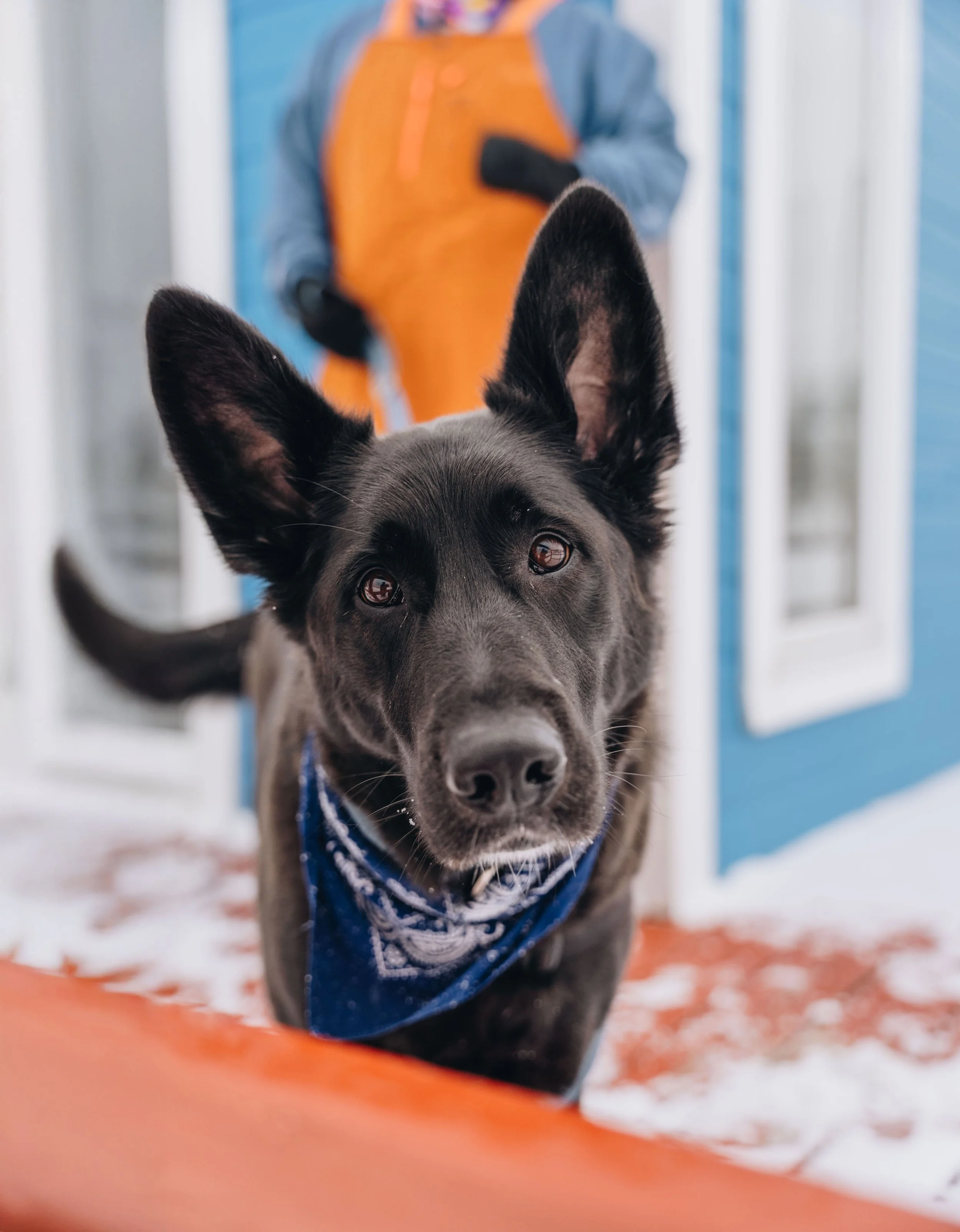 Maison bleue_onvasepromener 58.jpg