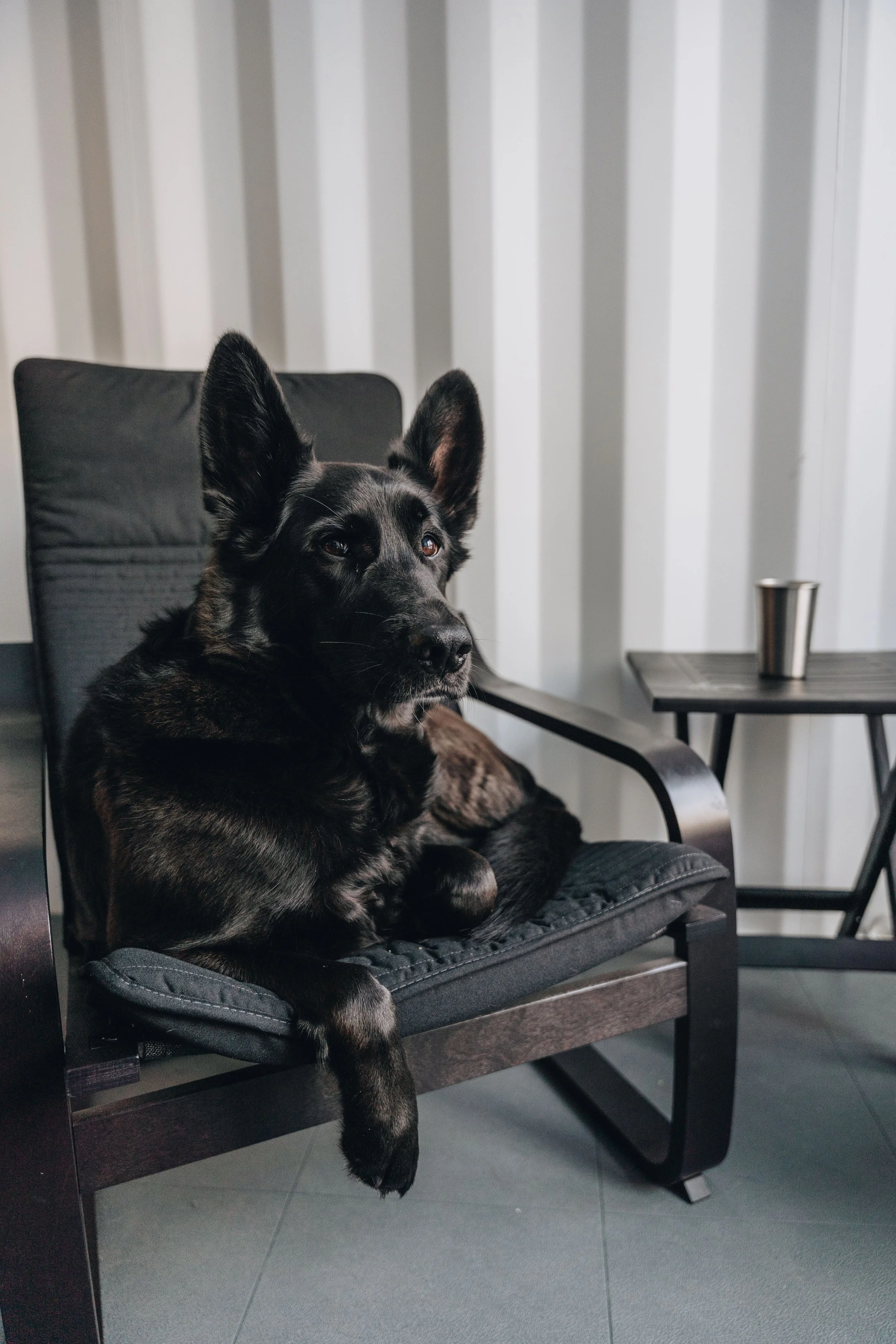 ULM_refuge_onvasepromener 13.jpg