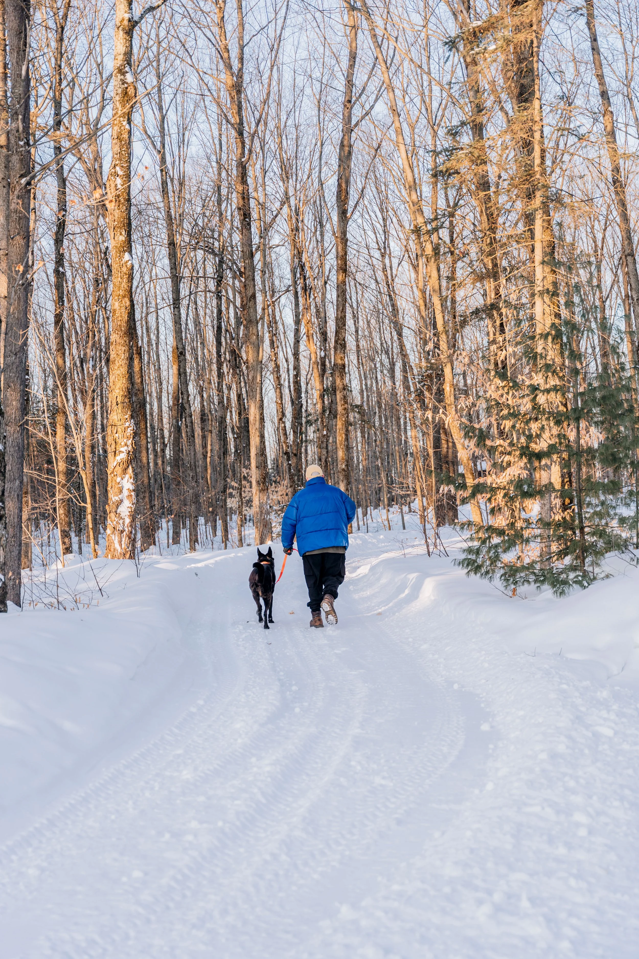ULM_refuge_onvasepromener 19.jpg