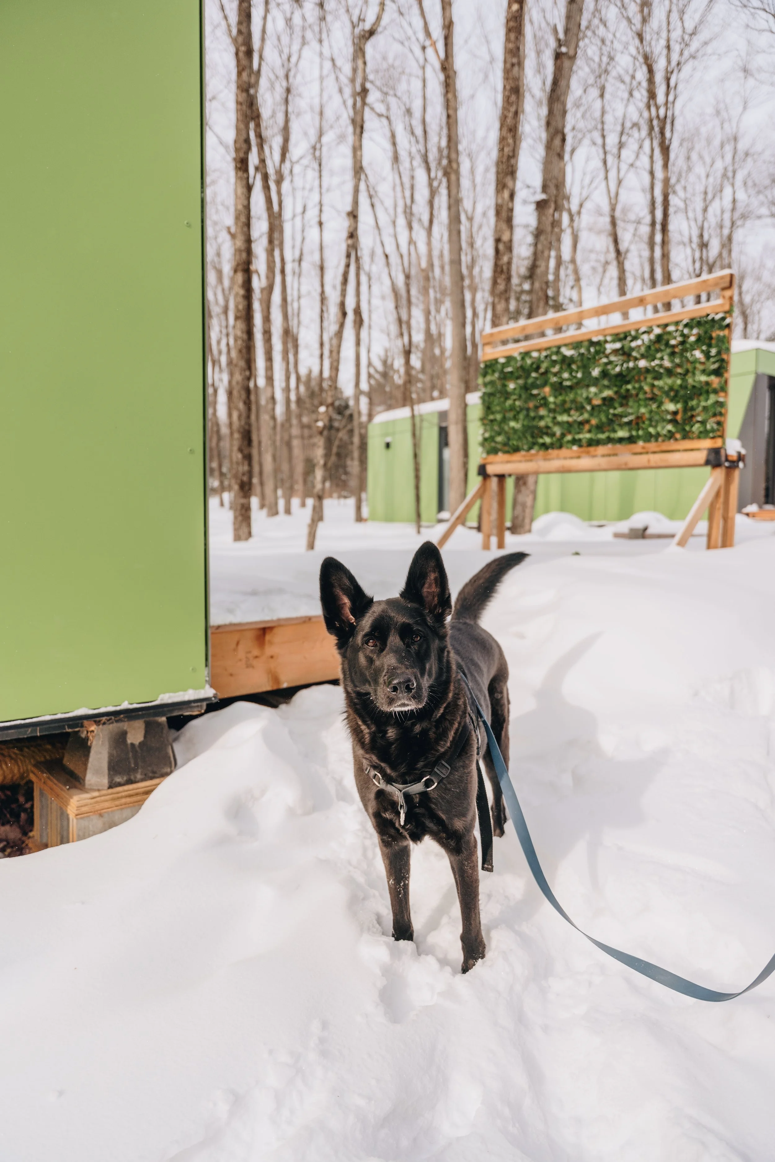 ULM_refuge_onvasepromener 117.jpg