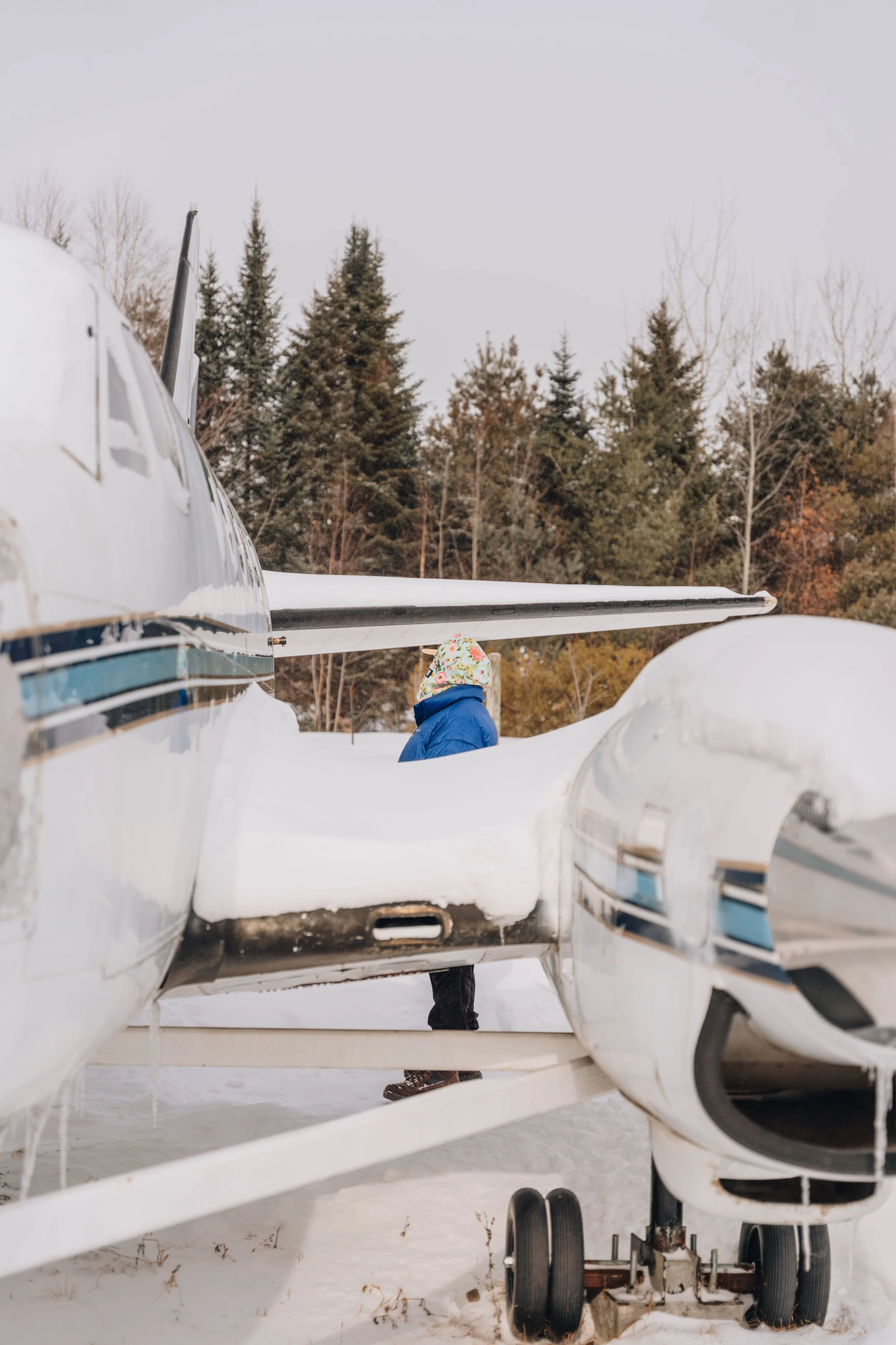 ULM_refuge_onvasepromener 141.jpg