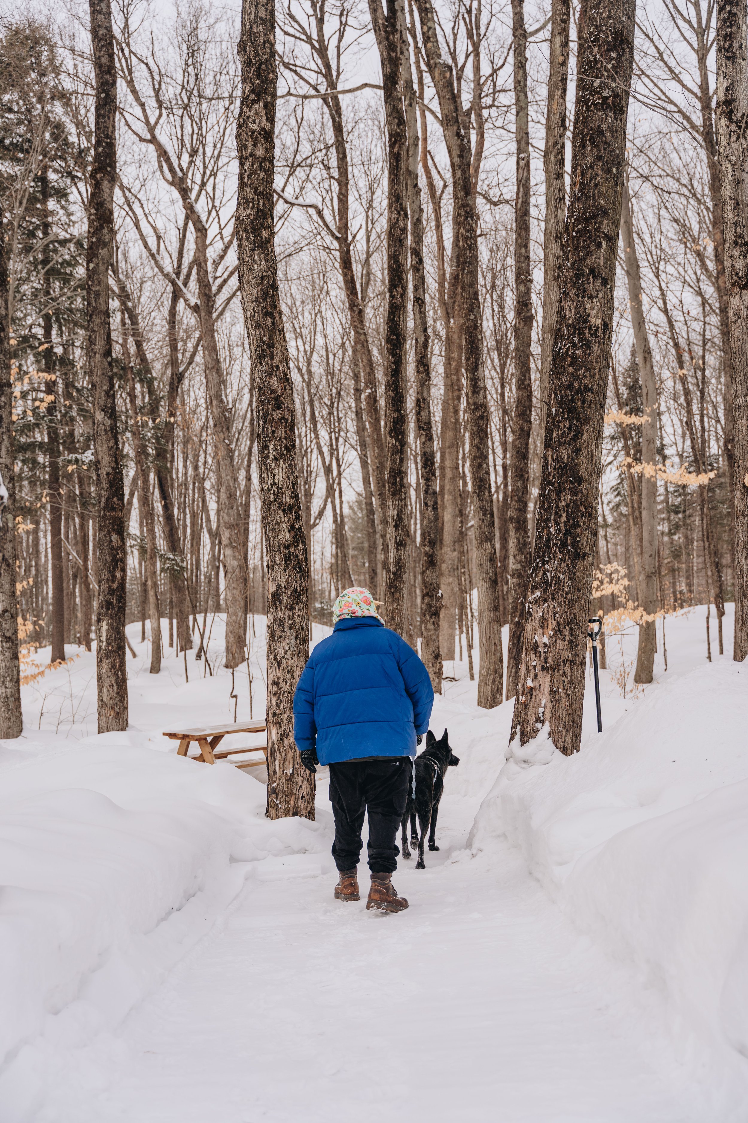 ULM_refuge_onvasepromener 164.jpg