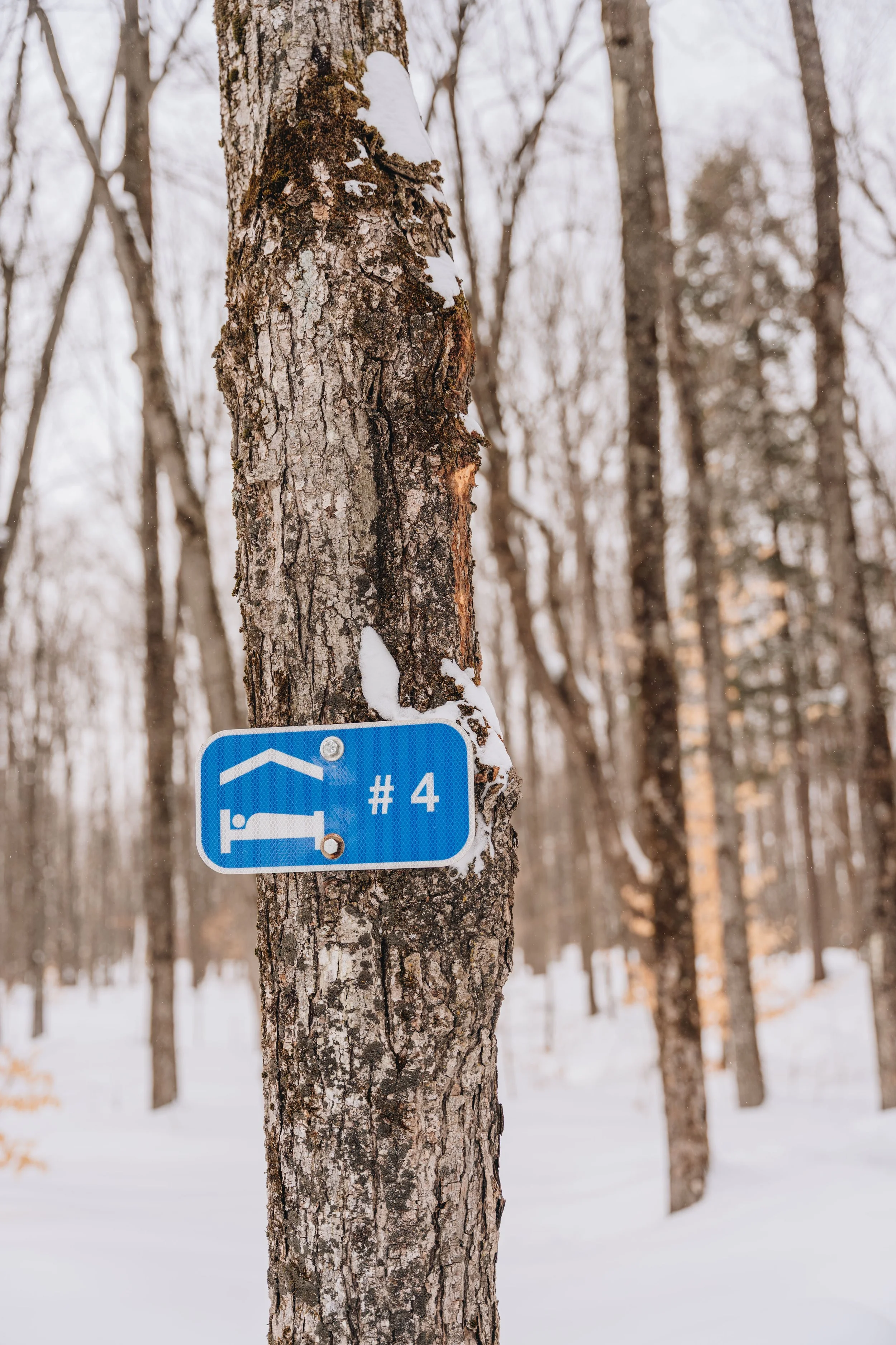 ULM_refuge_onvasepromener 169.jpg