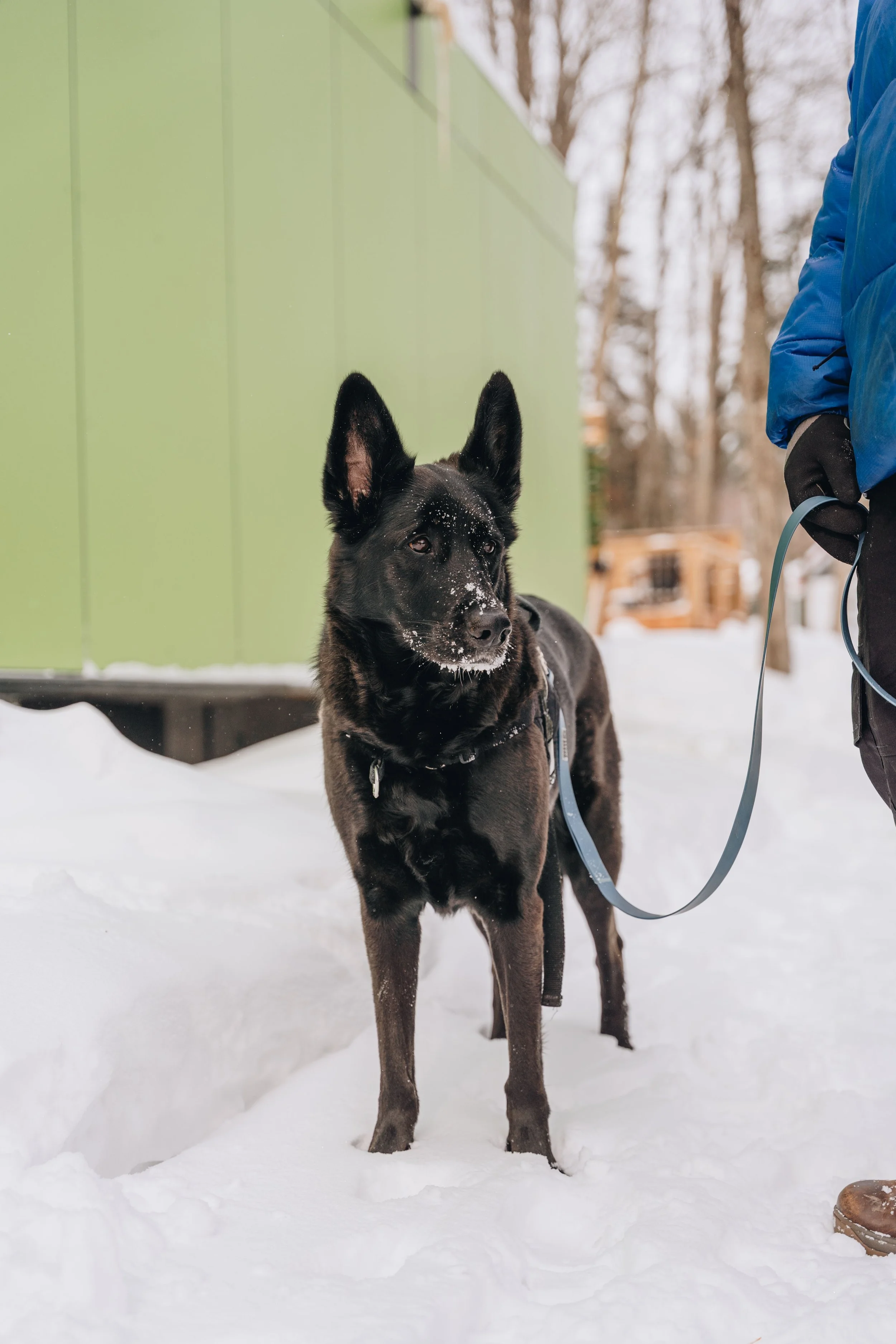 ULM_refuge_onvasepromener 175.jpg