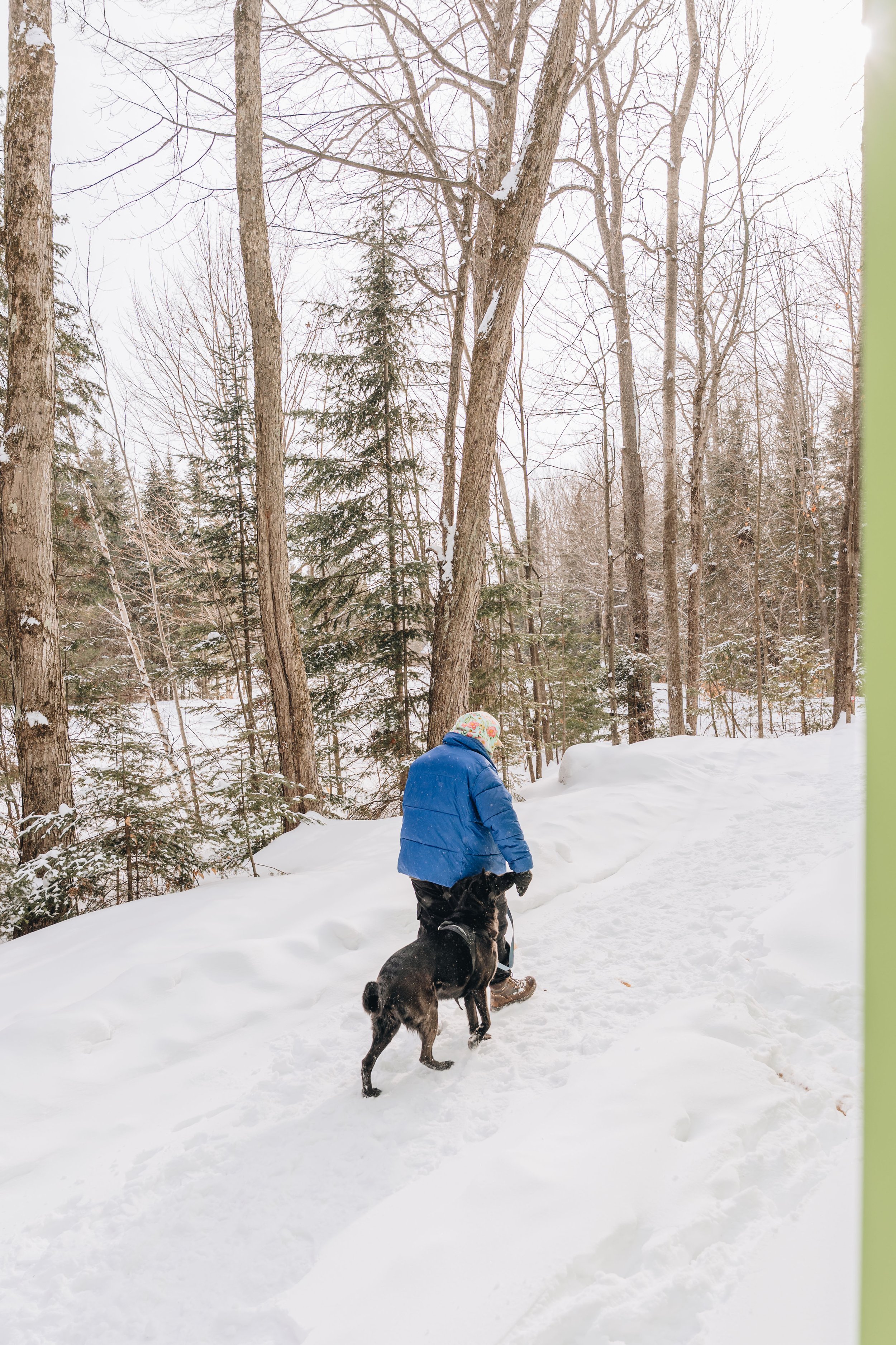 ULM_refuge_onvasepromener 127.jpg