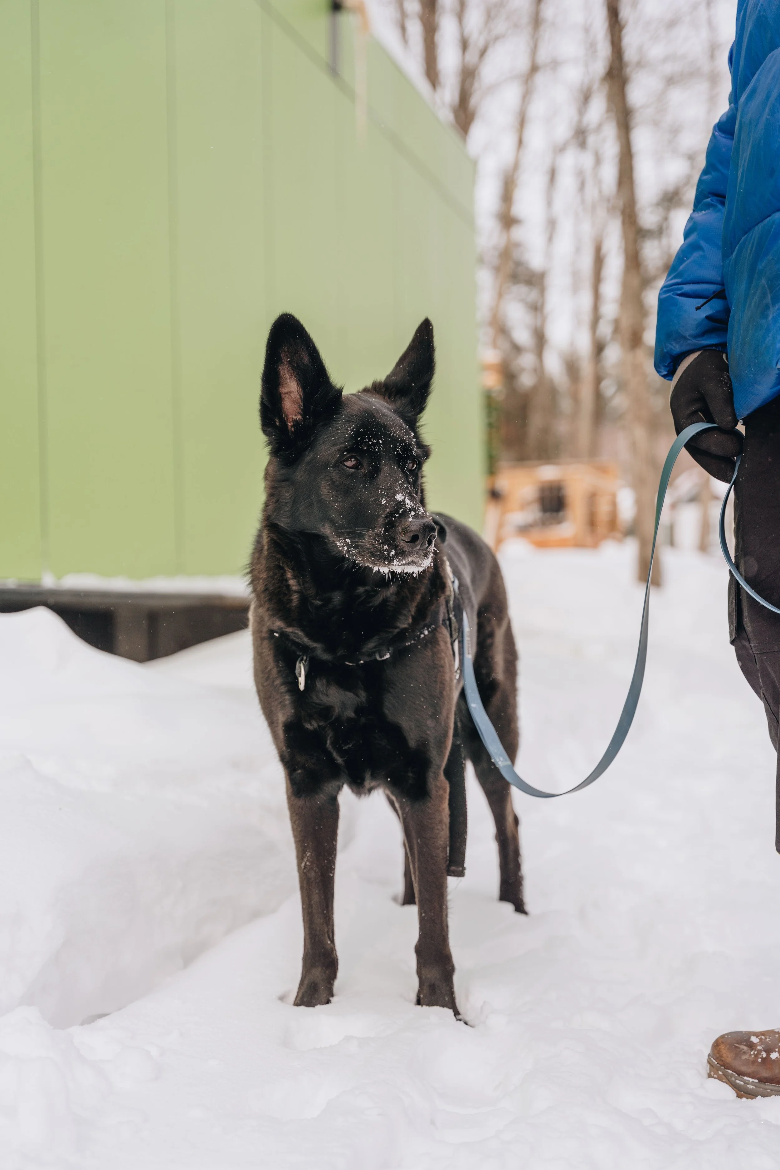 ULM_refuge_onvasepromener 173.jpg
