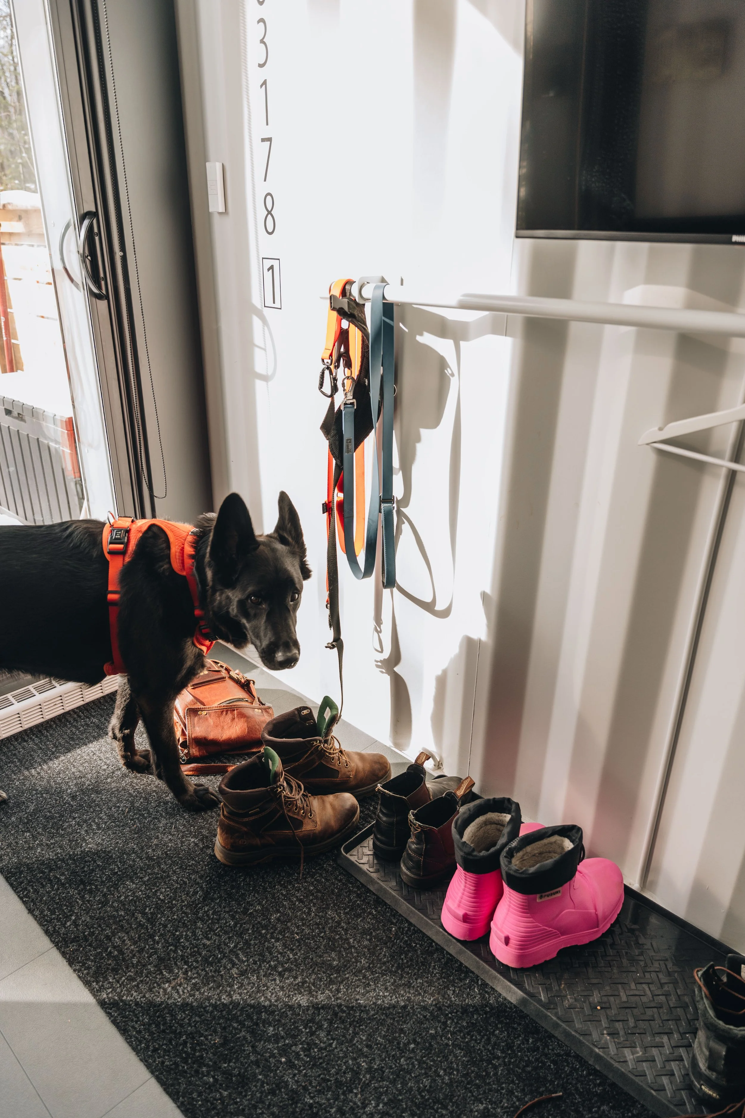 ULM_refuge_onvasepromener 55.jpg