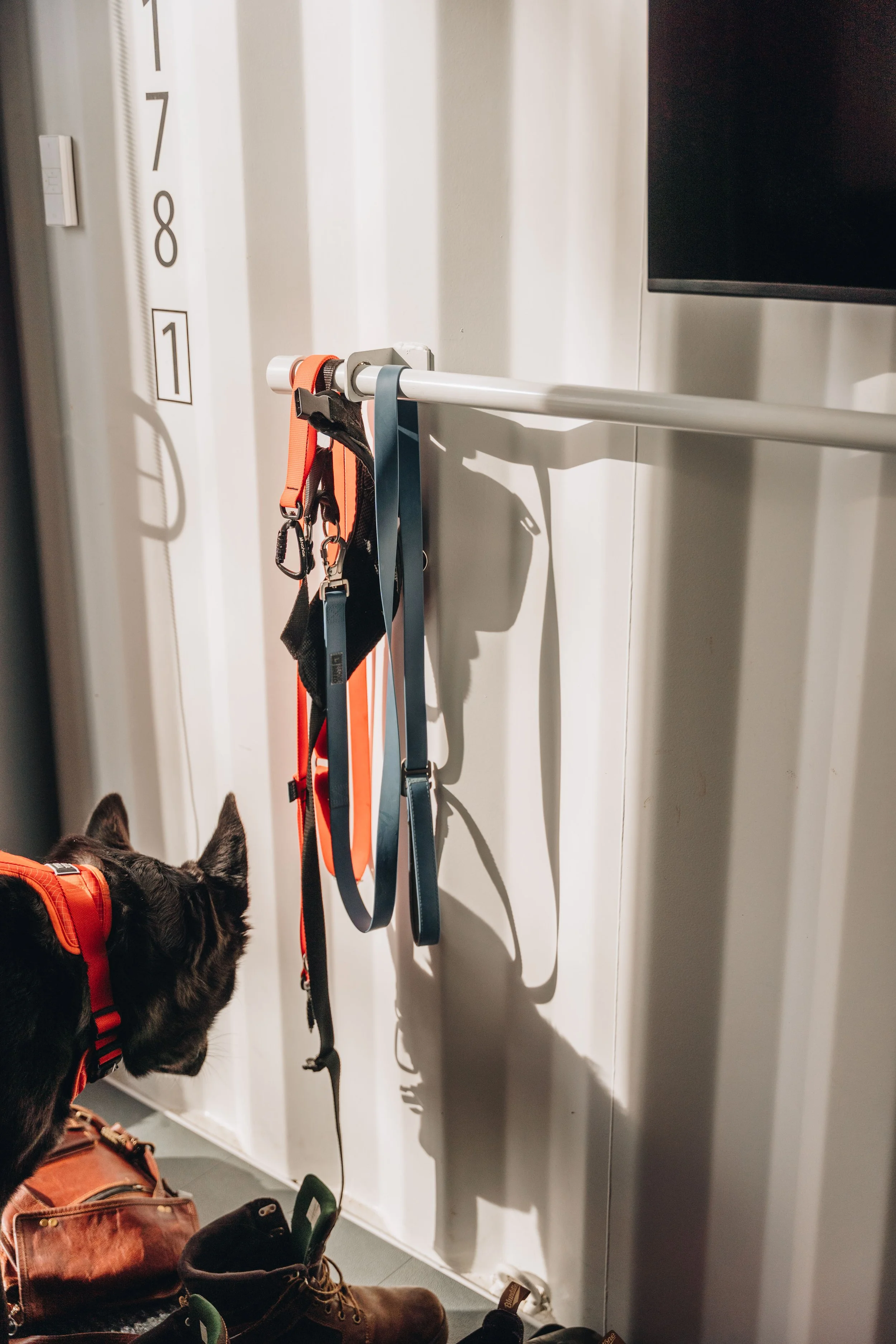 ULM_refuge_onvasepromener 56.jpg