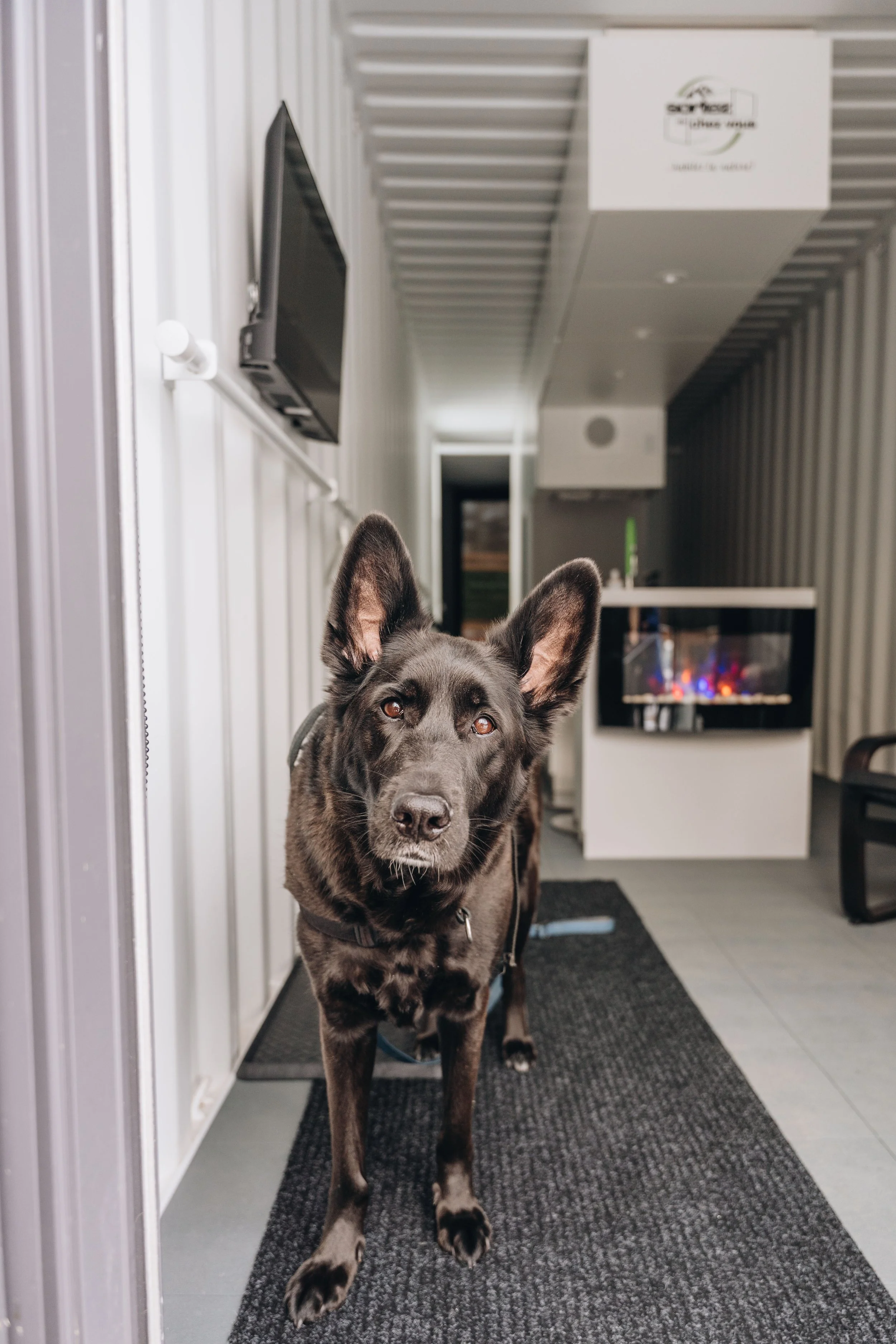 ULM_refuge_onvasepromener 112.jpg