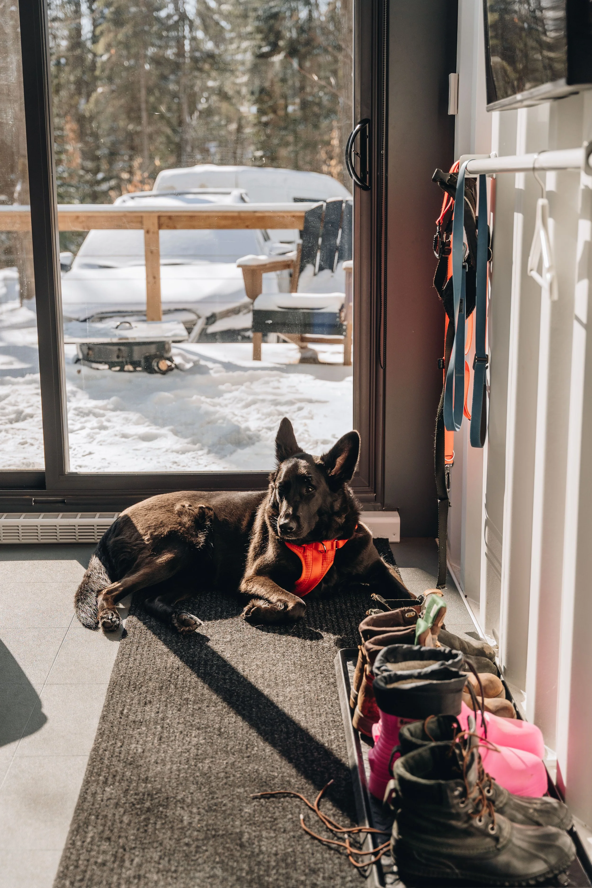 ULM_refuge_onvasepromener 85.jpg