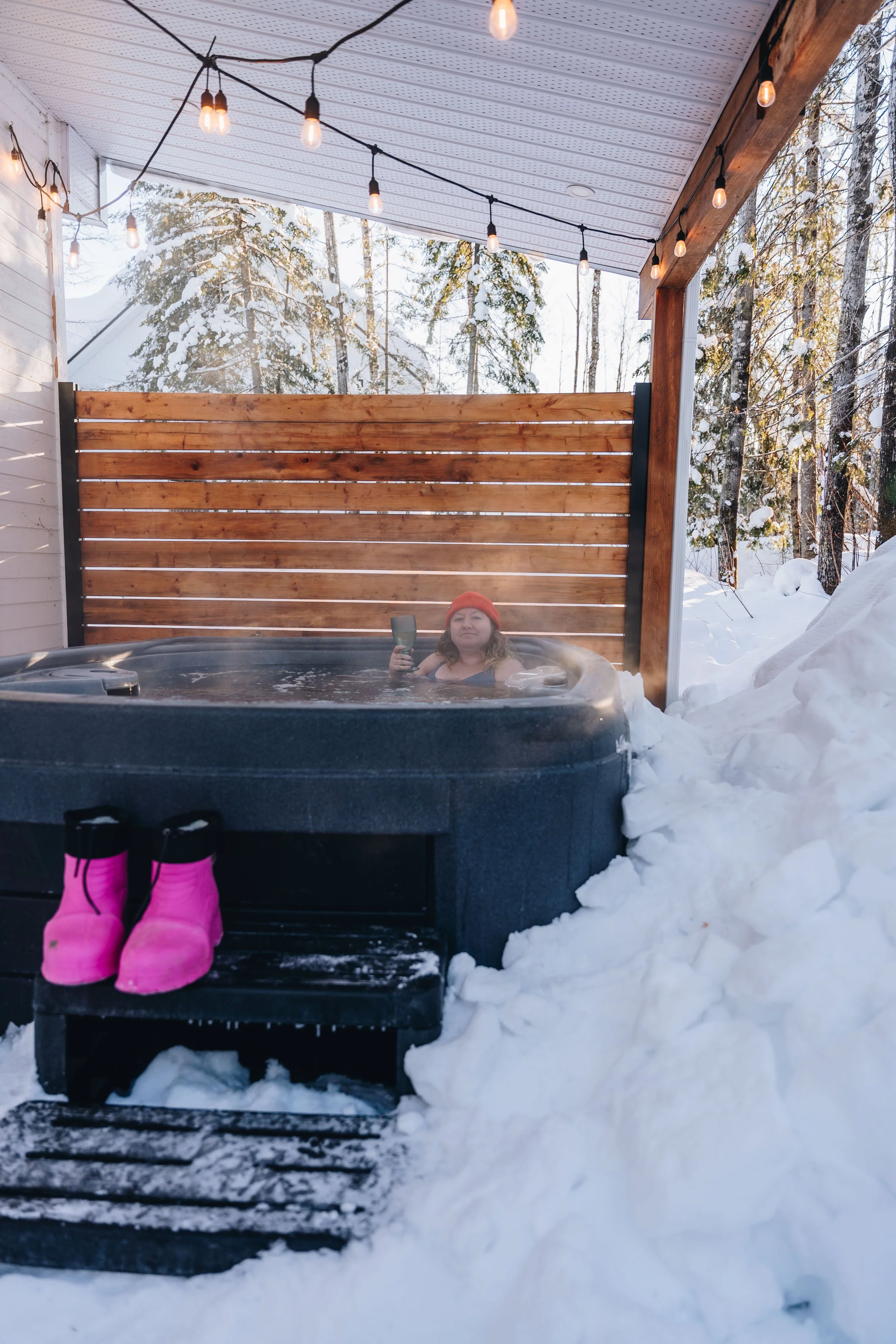 Chalet Hauska_onvasepromener 113.jpg