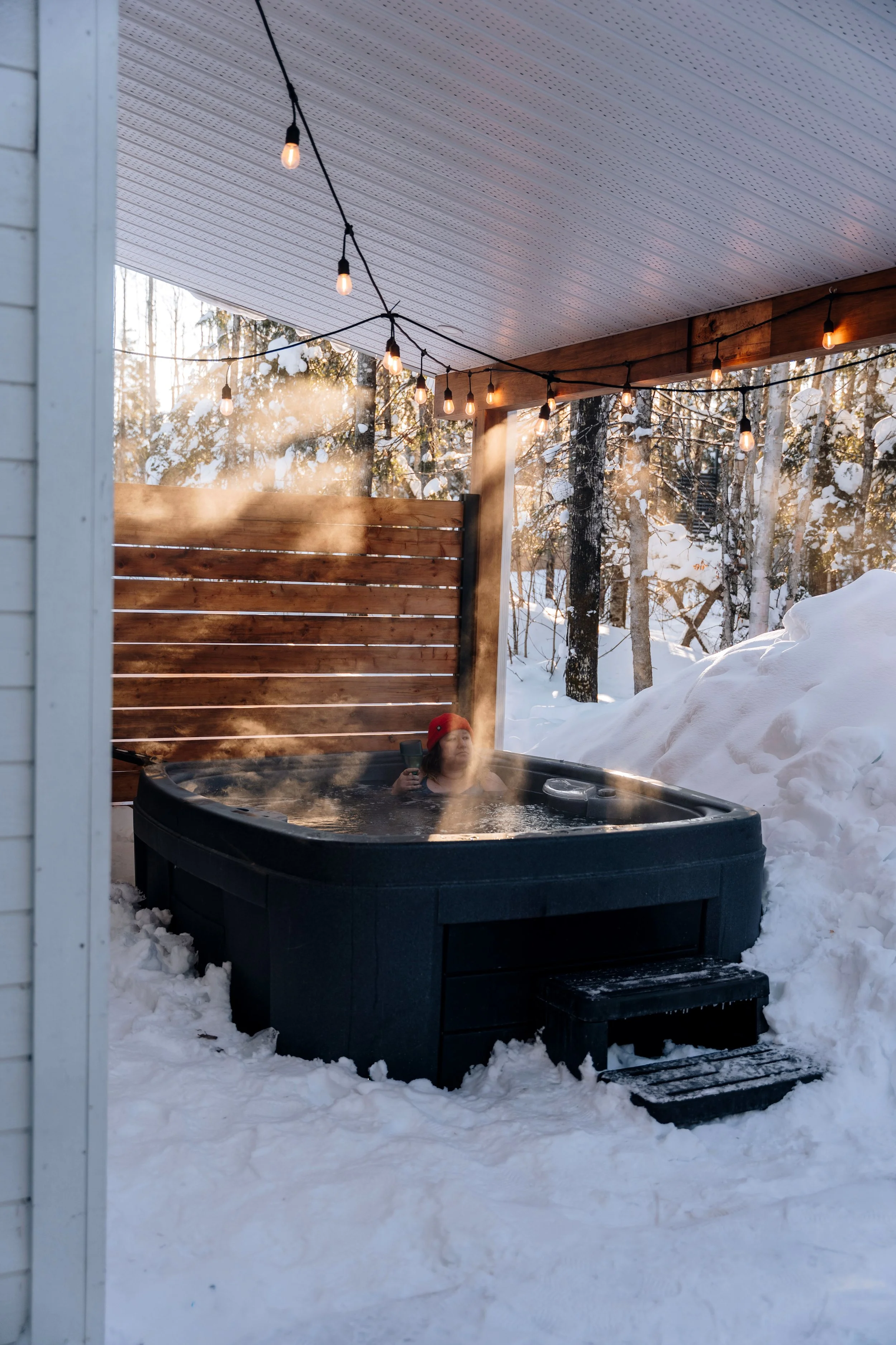 Chalet Hauska_onvasepromener 116.jpg