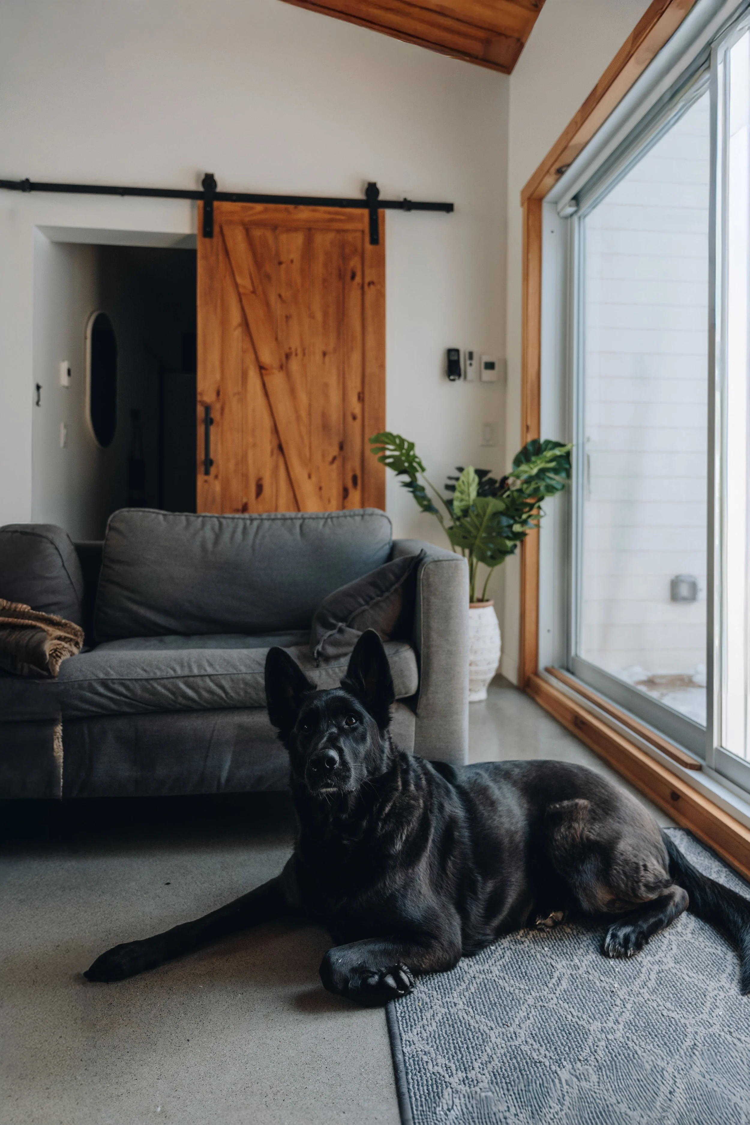 Chalet Hauska_onvasepromener 110.jpg