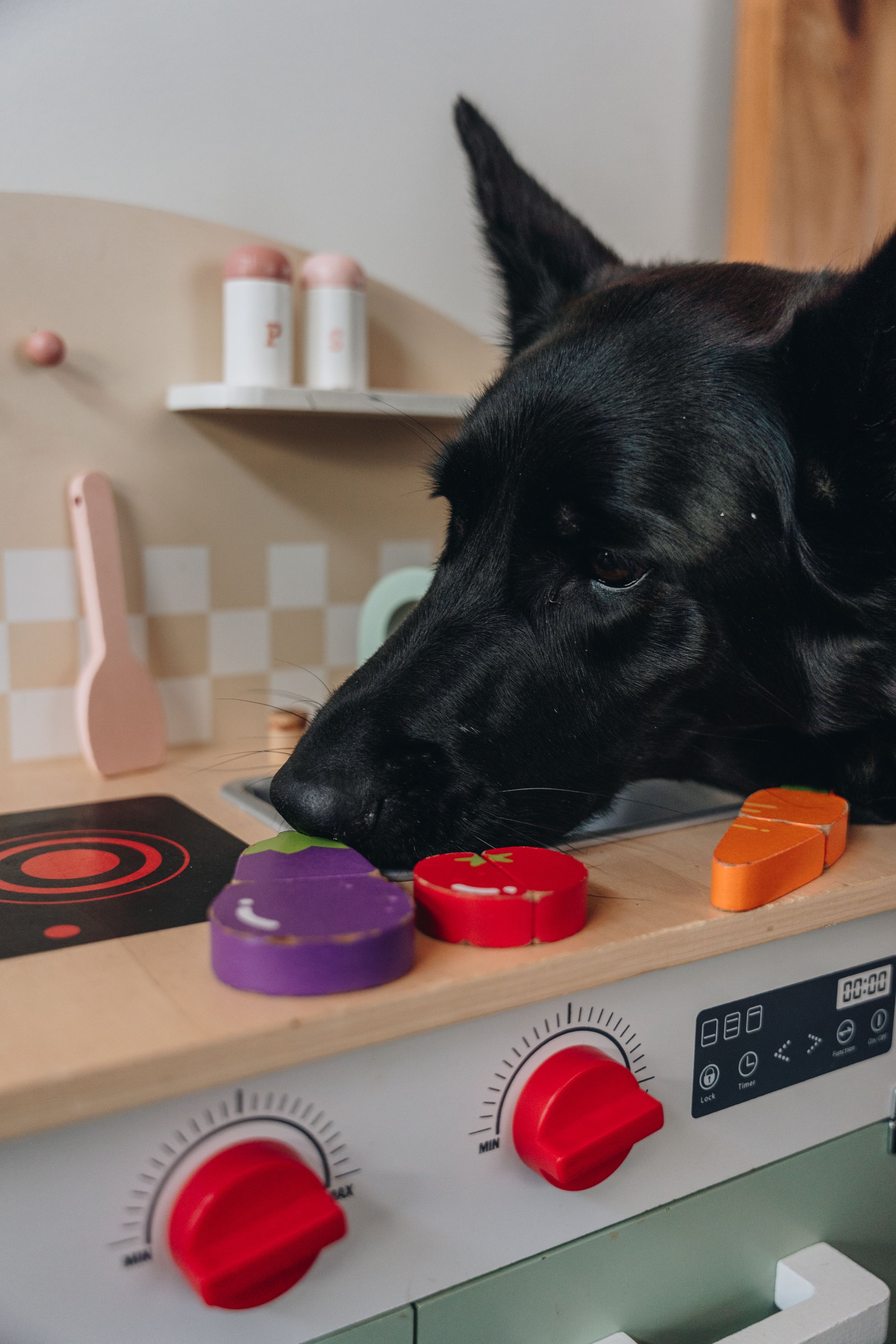 Chalet Hauska_onvasepromener 94.jpg