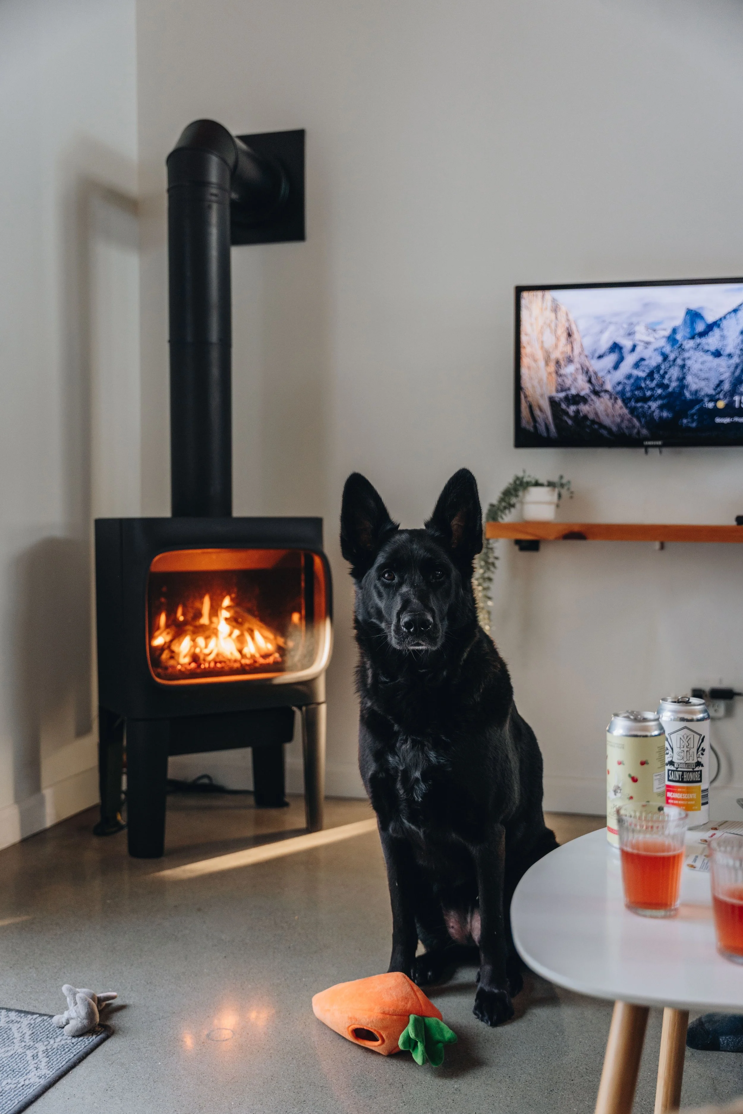 Chalet Hauska_onvasepromener 108.jpg