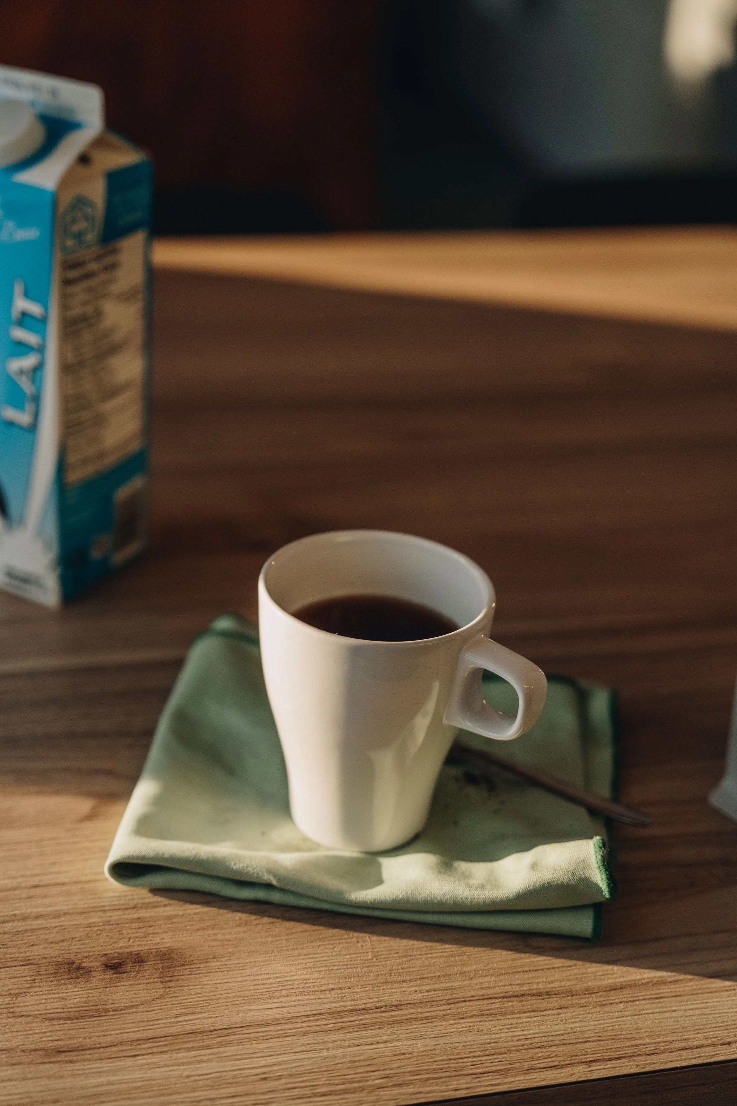 Chalet Hauska_onvasepromener 35.jpg