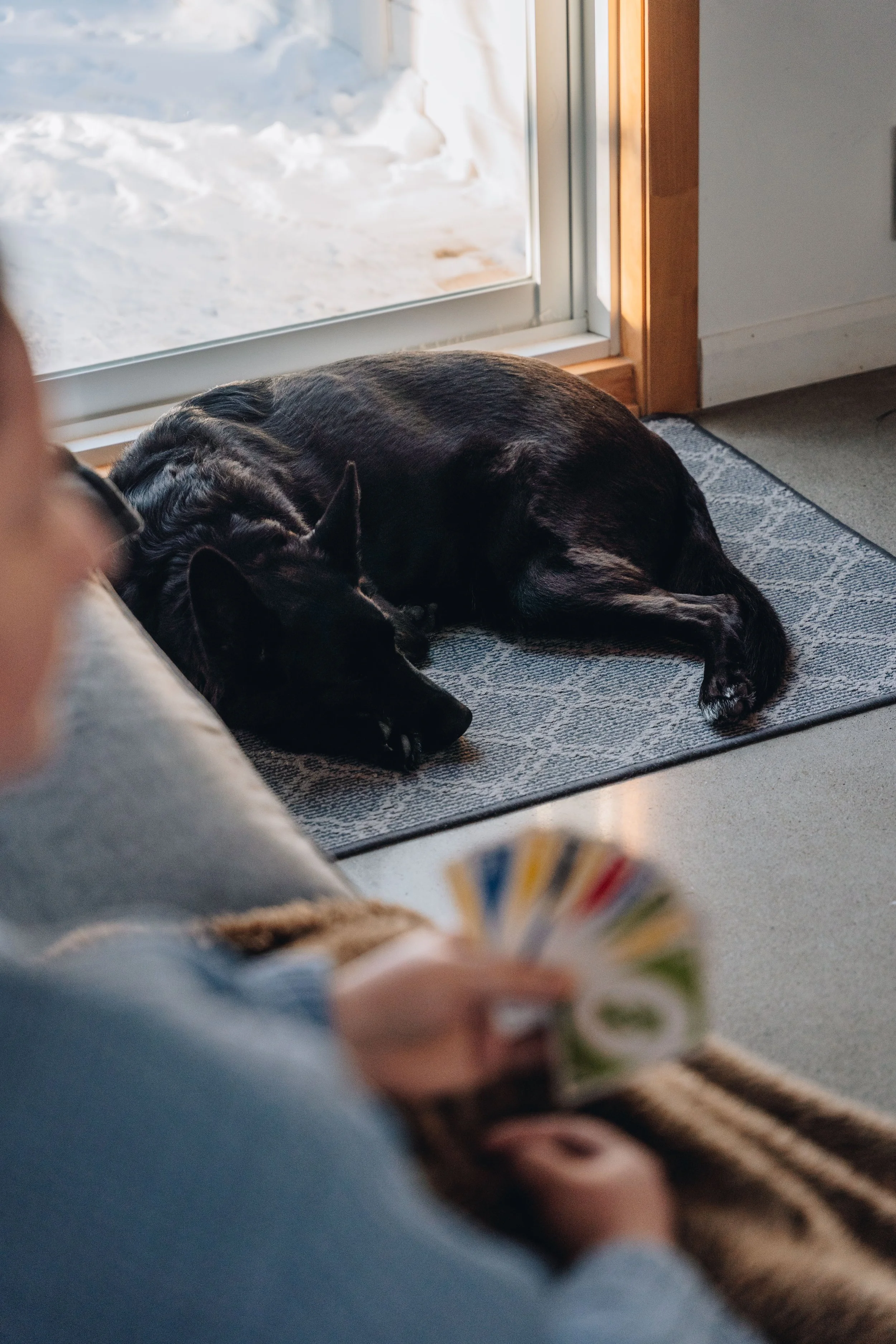Chalet Hauska_onvasepromener 100.jpg