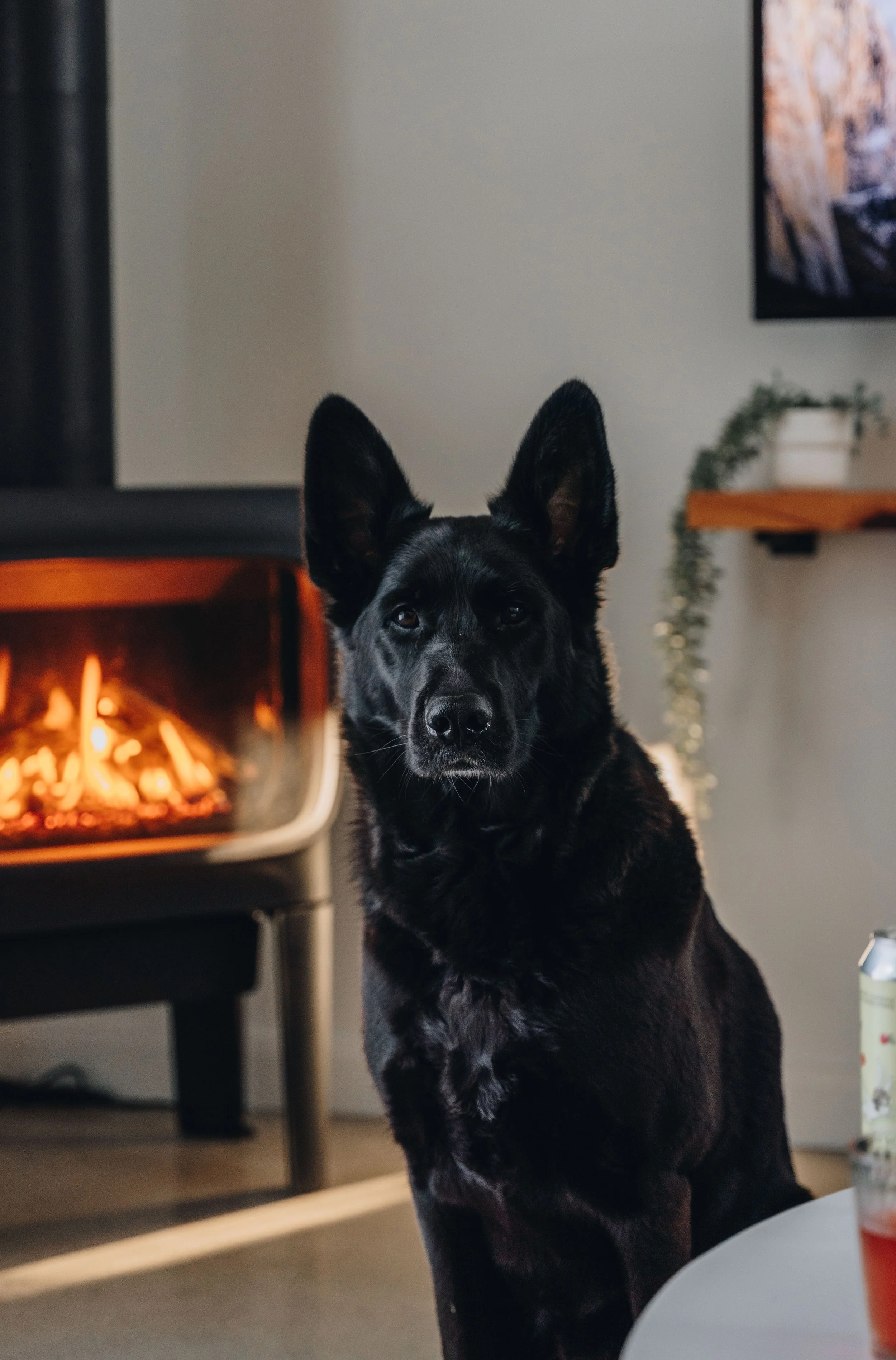 Chalet Hauska_onvasepromener 109.jpg