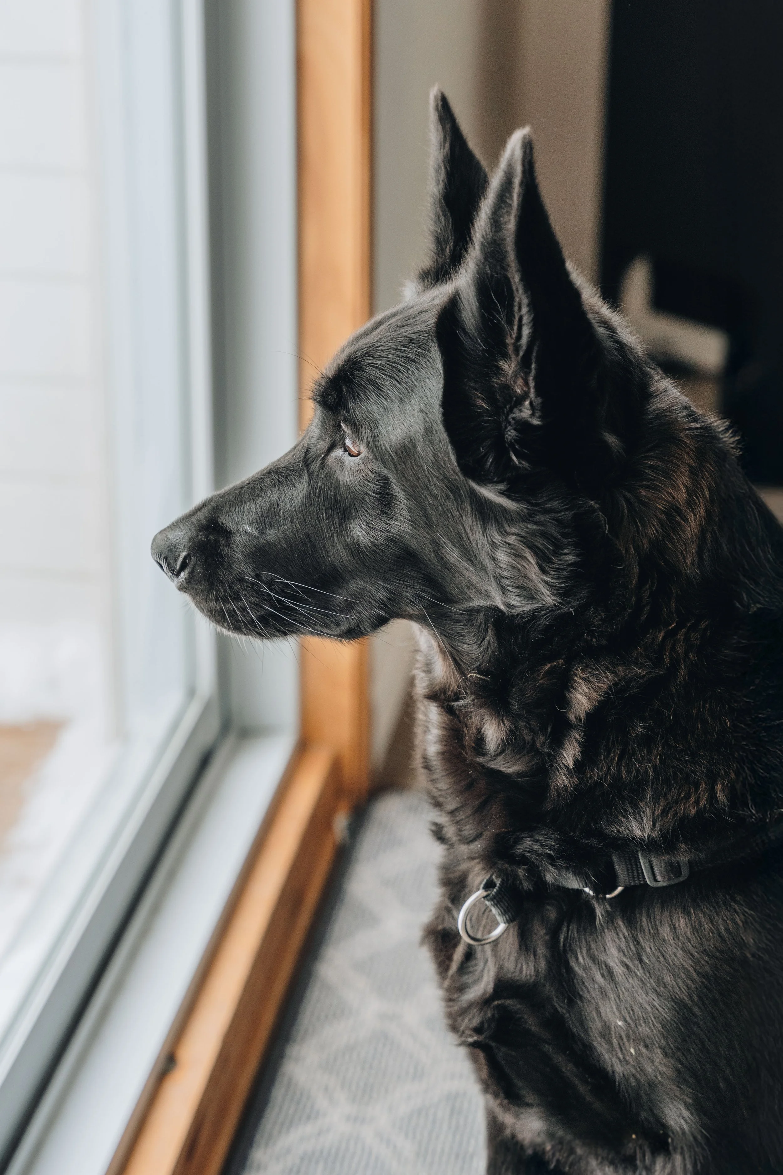 Chalet Hauska_onvasepromener 136.jpg