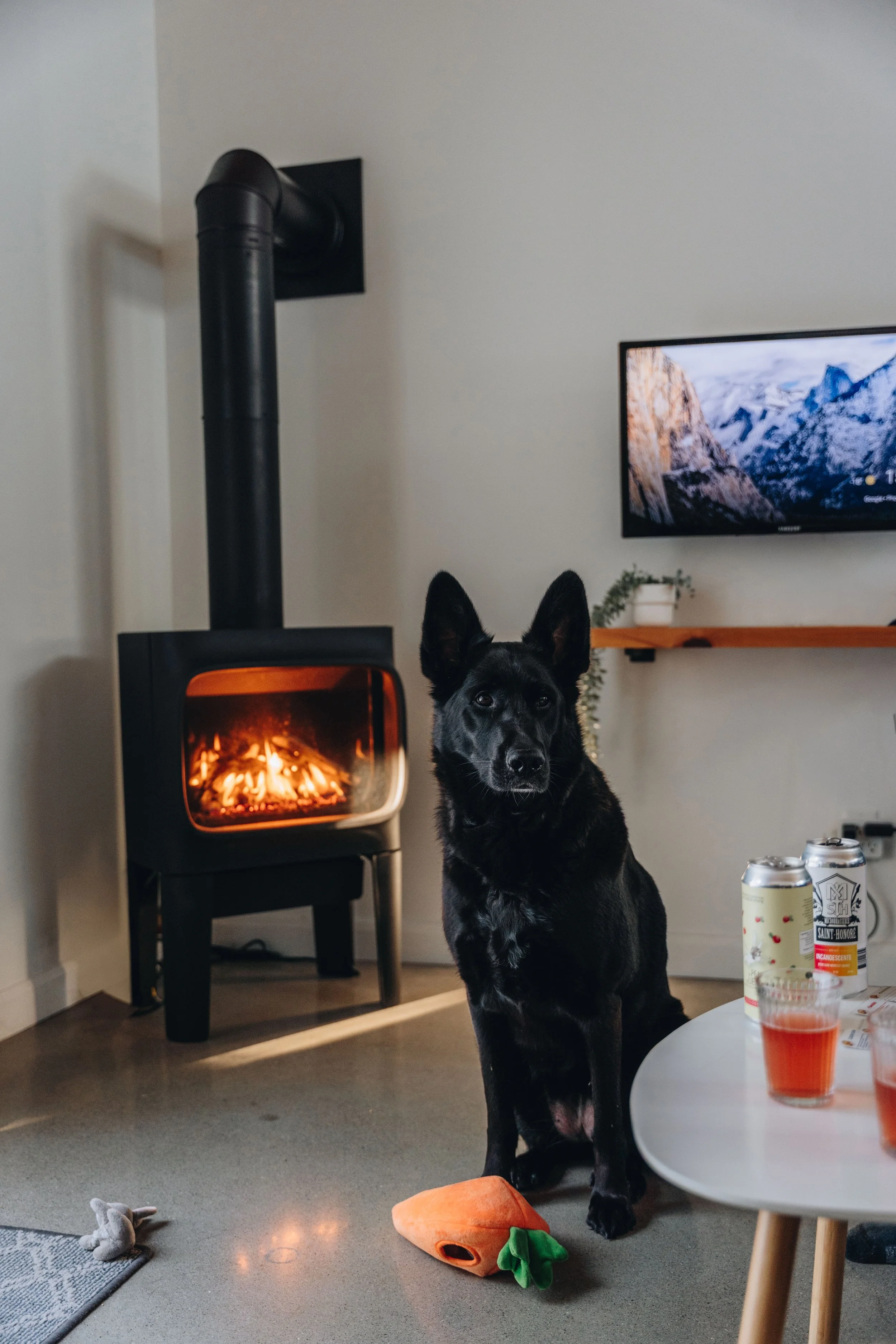 Chalet Hauska_onvasepromener 107.jpg