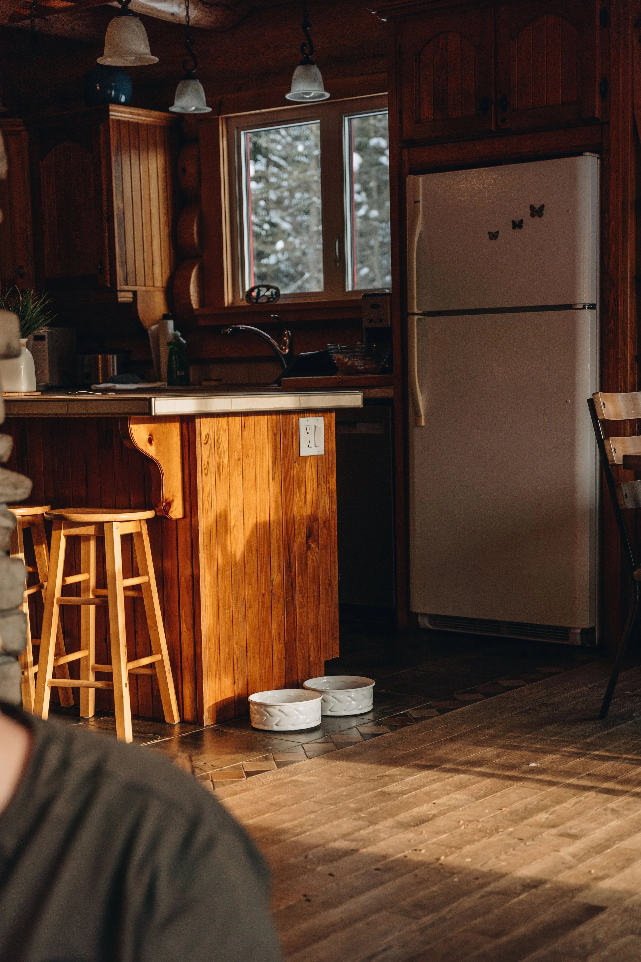 Au chalet en bois rond_onvasepromener 63.jpg