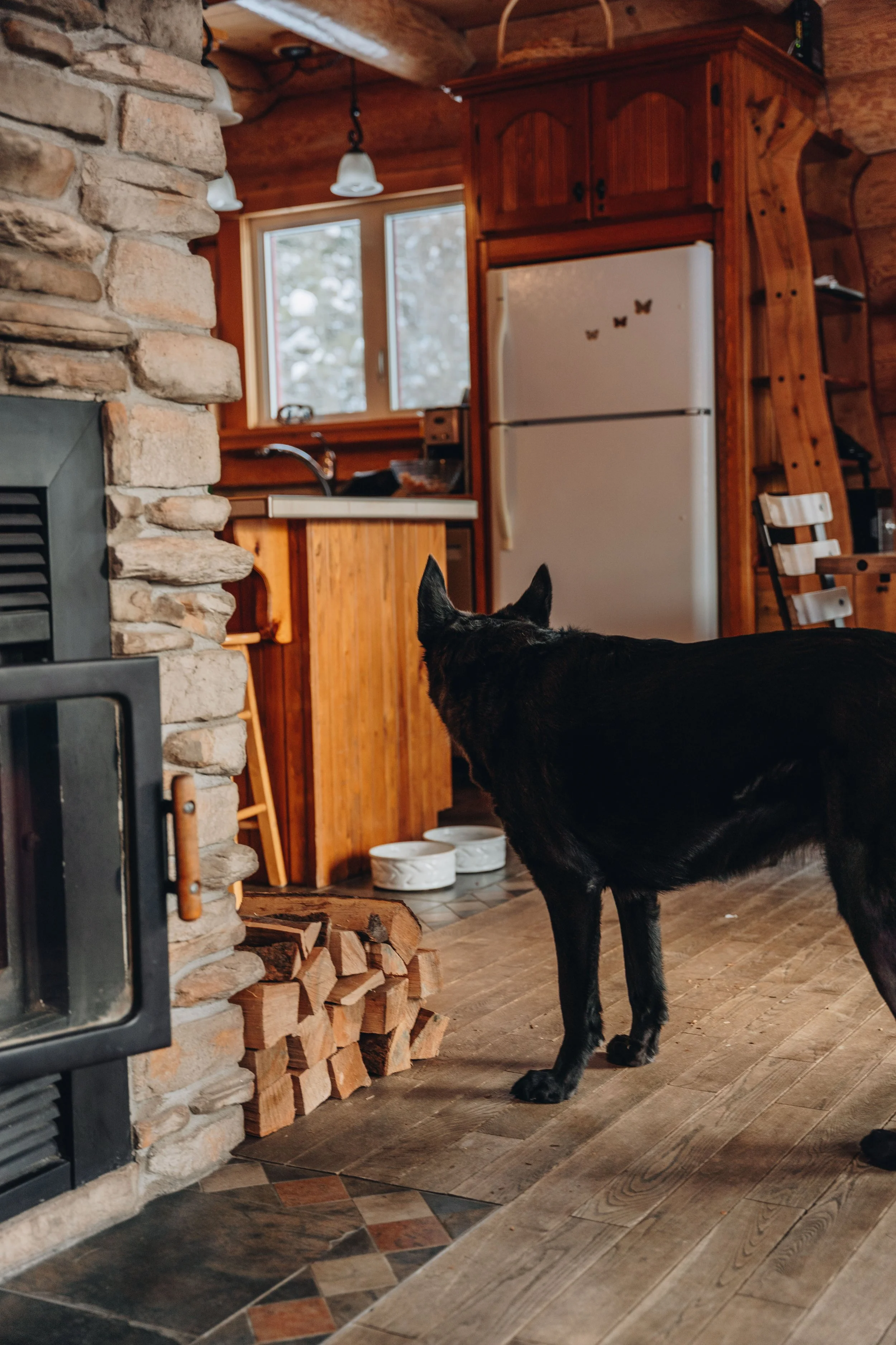 Au chalet en bois rond_onvasepromener 53.jpg