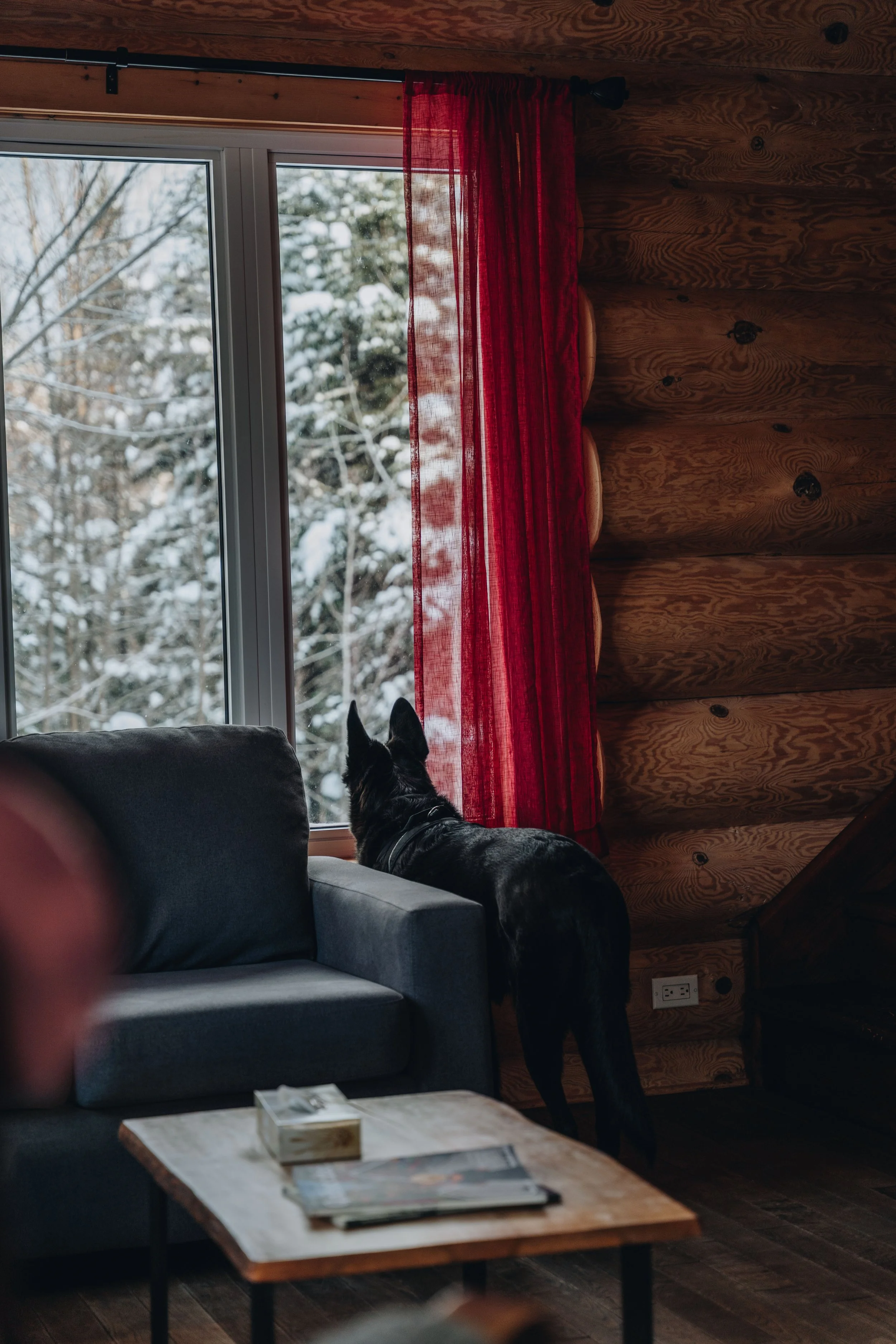 Au chalet en bois rond_onvasepromener 40.jpg