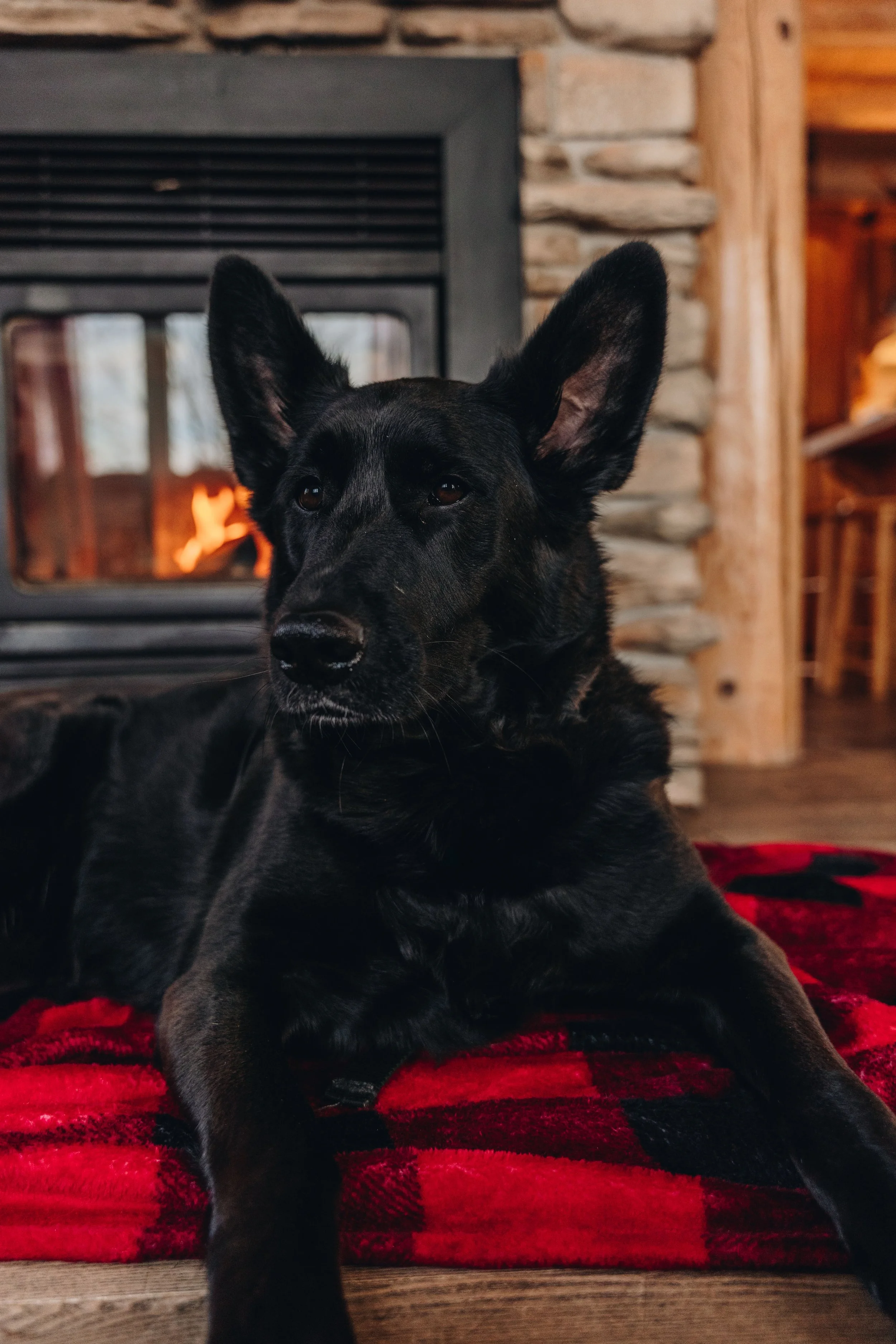 Au chalet en bois rond_onvasepromener 175.jpg