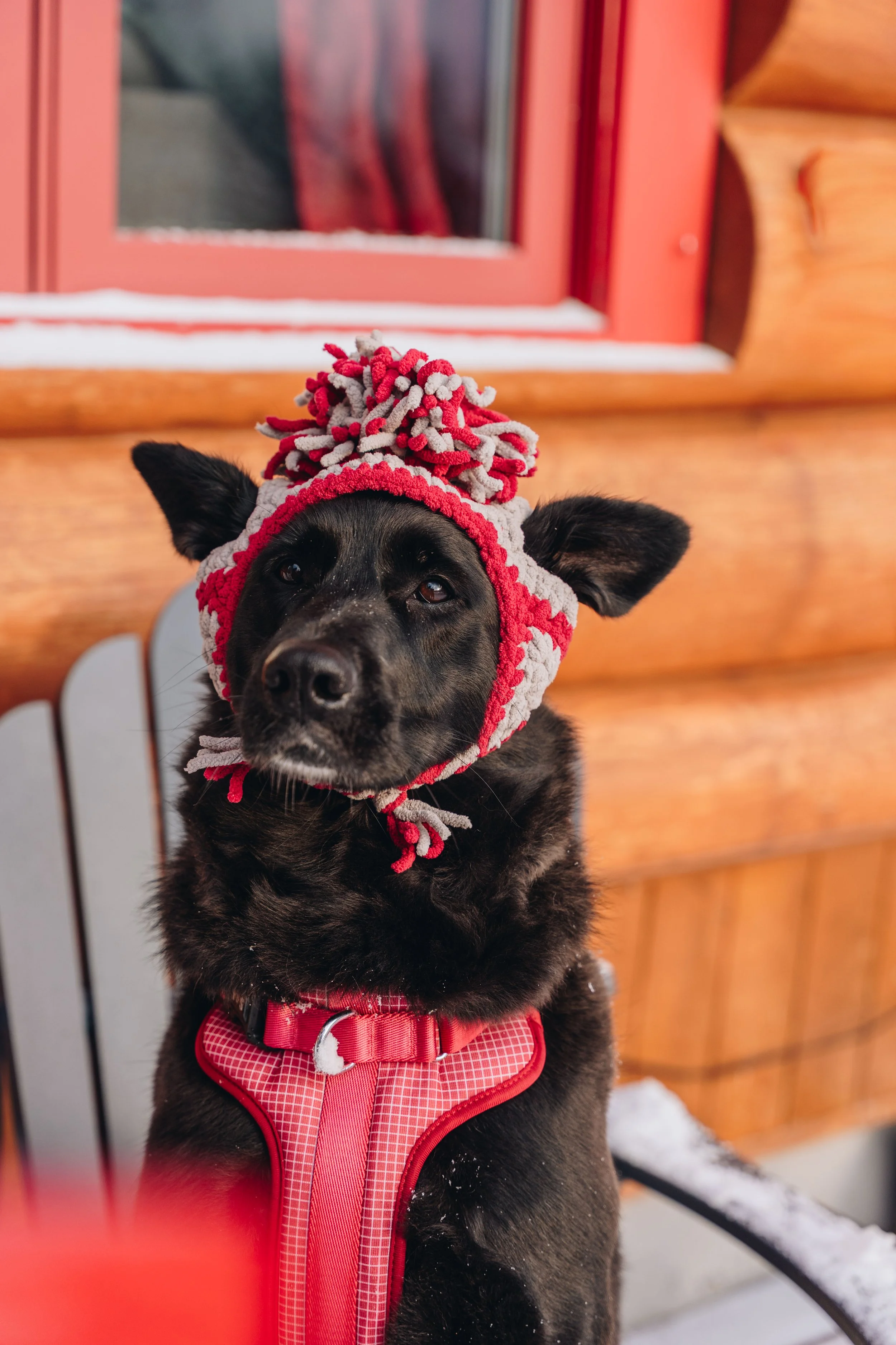 Au chalet en bois rond_onvasepromener 123.jpg
