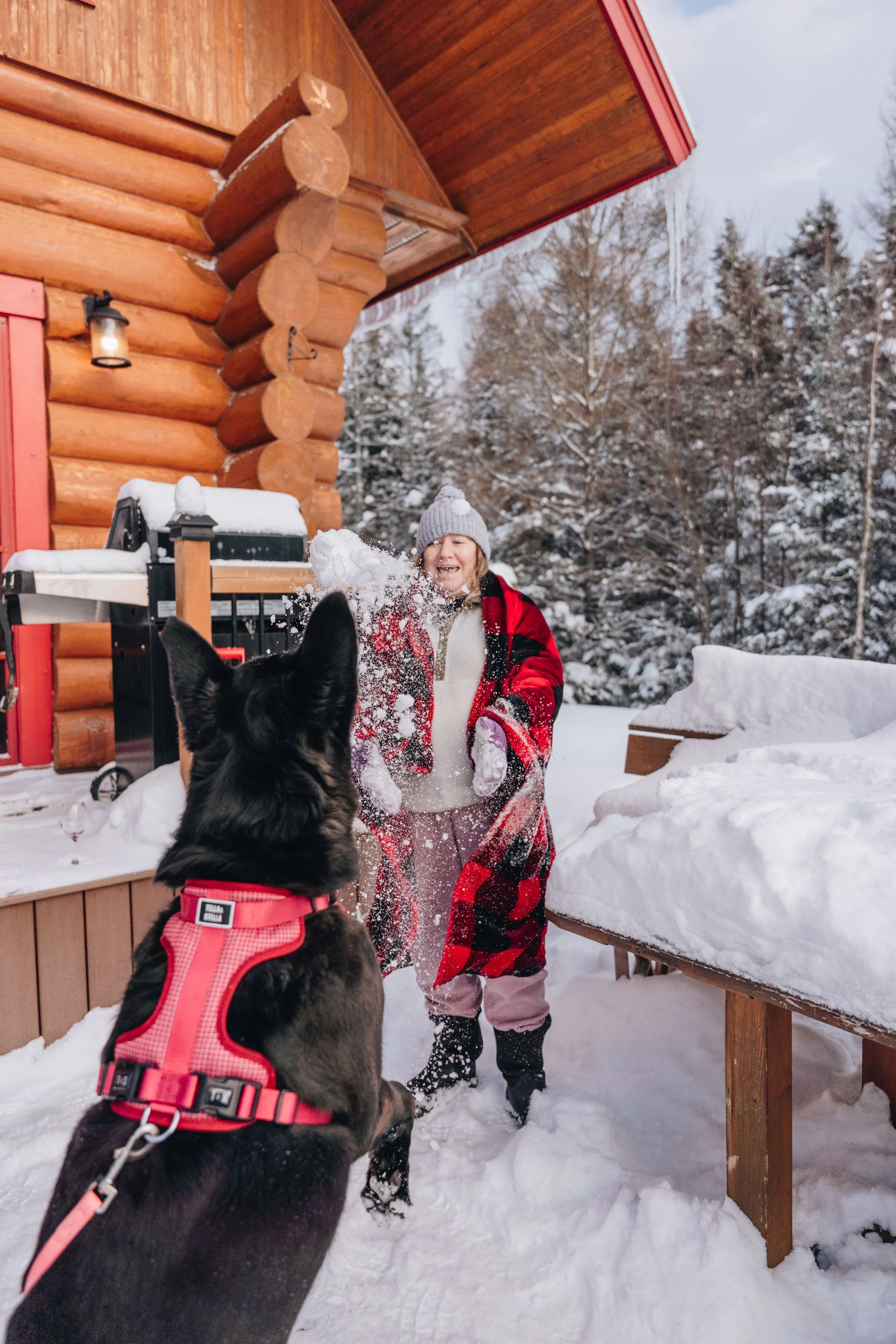 Au chalet en bois rond_onvasepromener 114.jpg