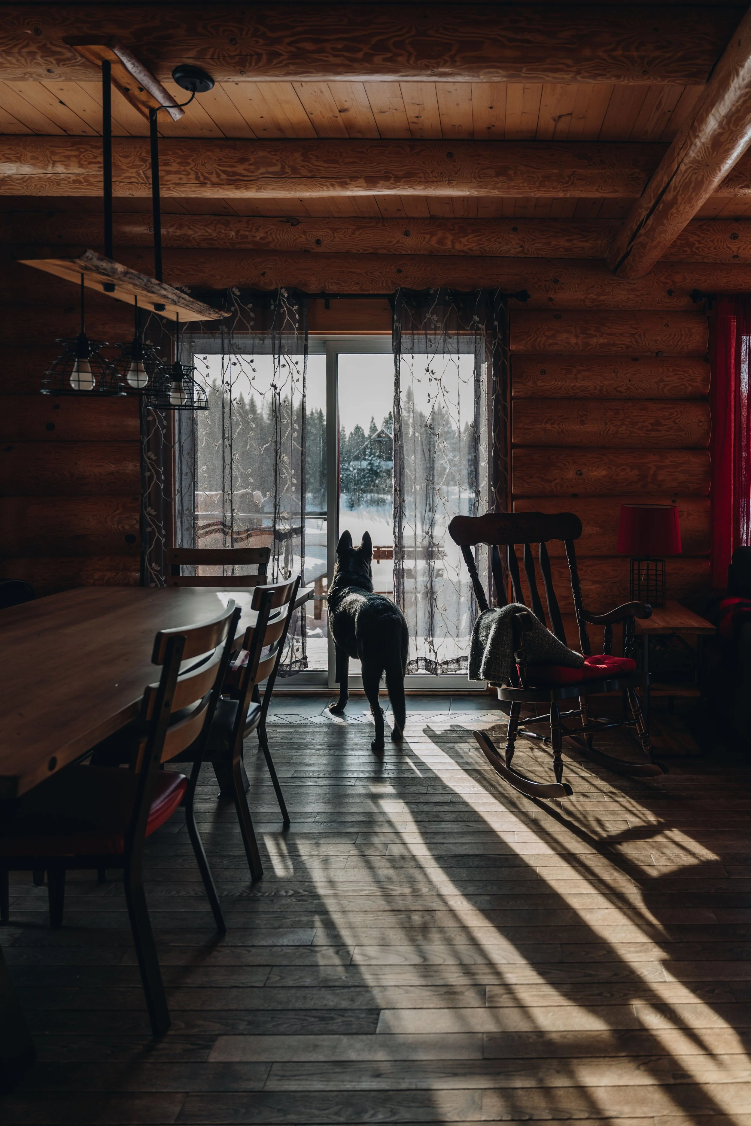 Au chalet en bois rond_onvasepromener 36.jpg